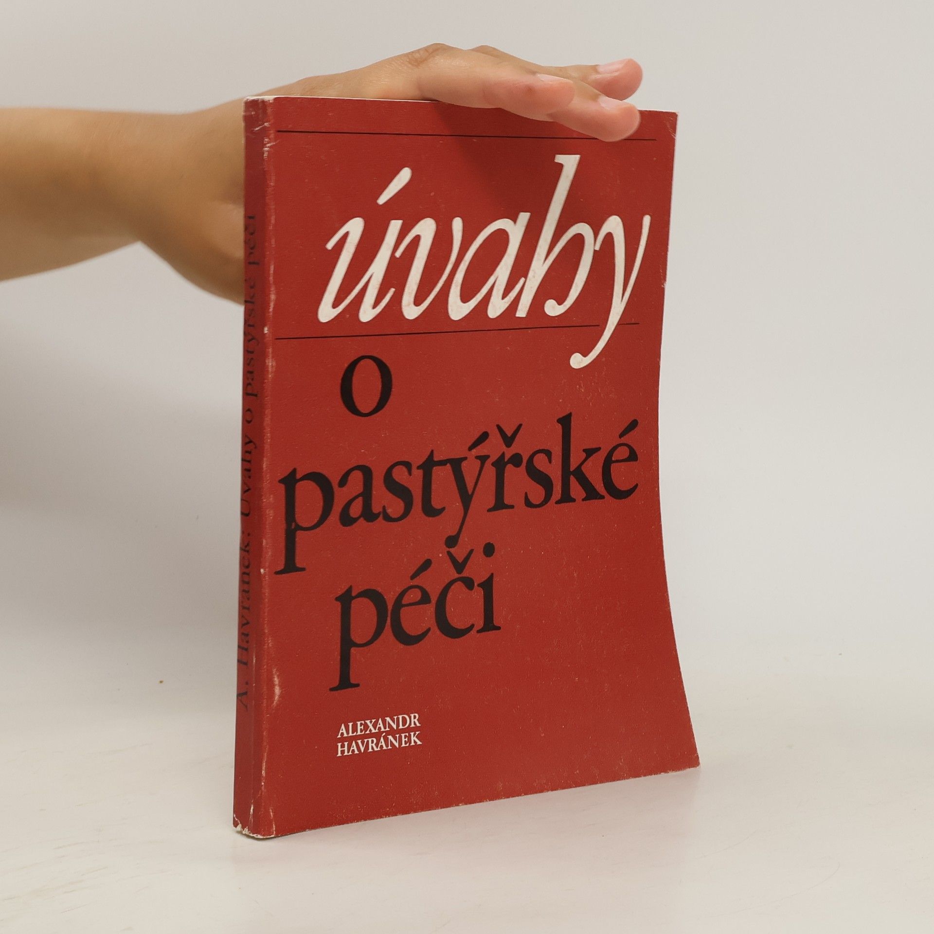 kolektiv Úvahy o pastýřské péči