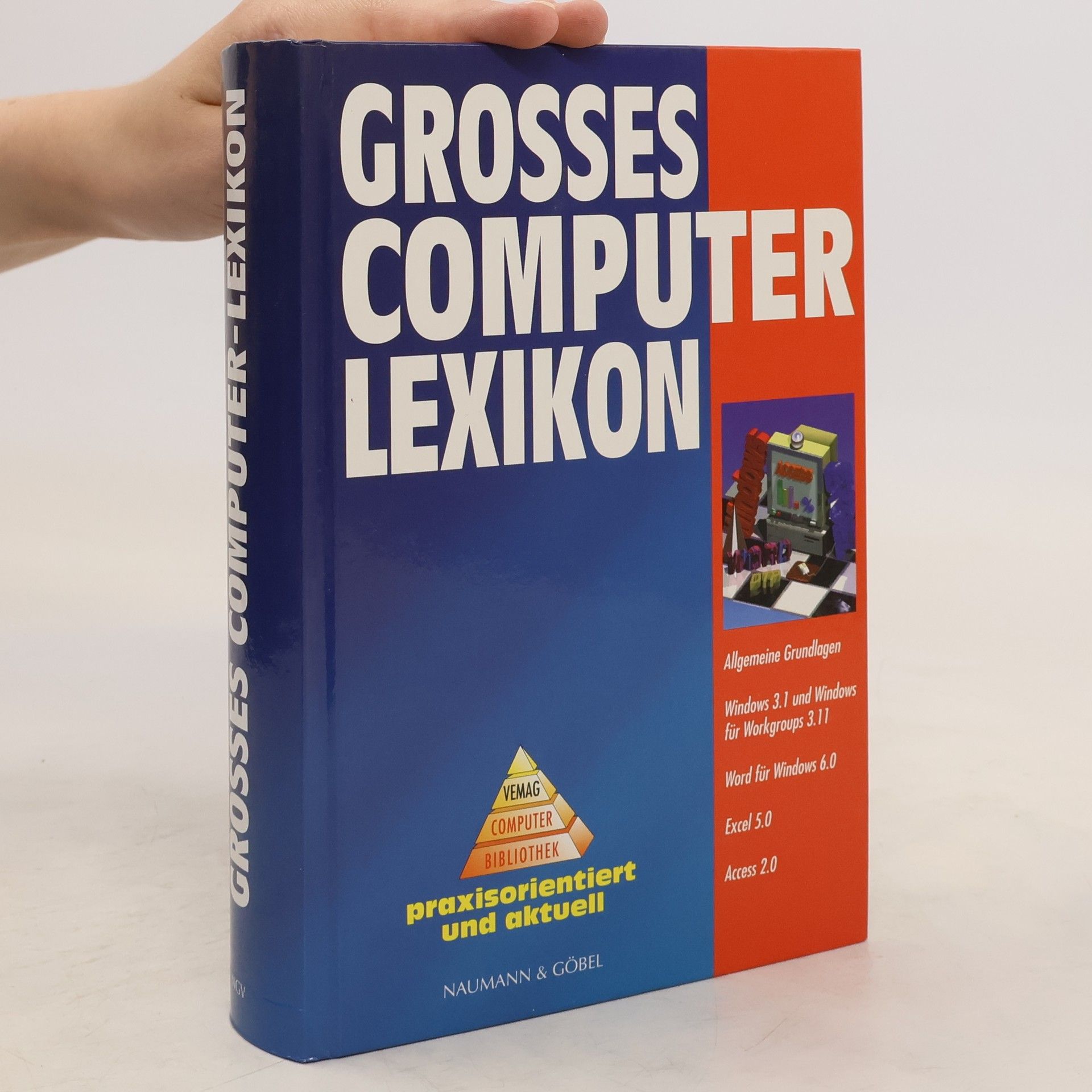 Anja Lukas Grosses Computer-Lexikon