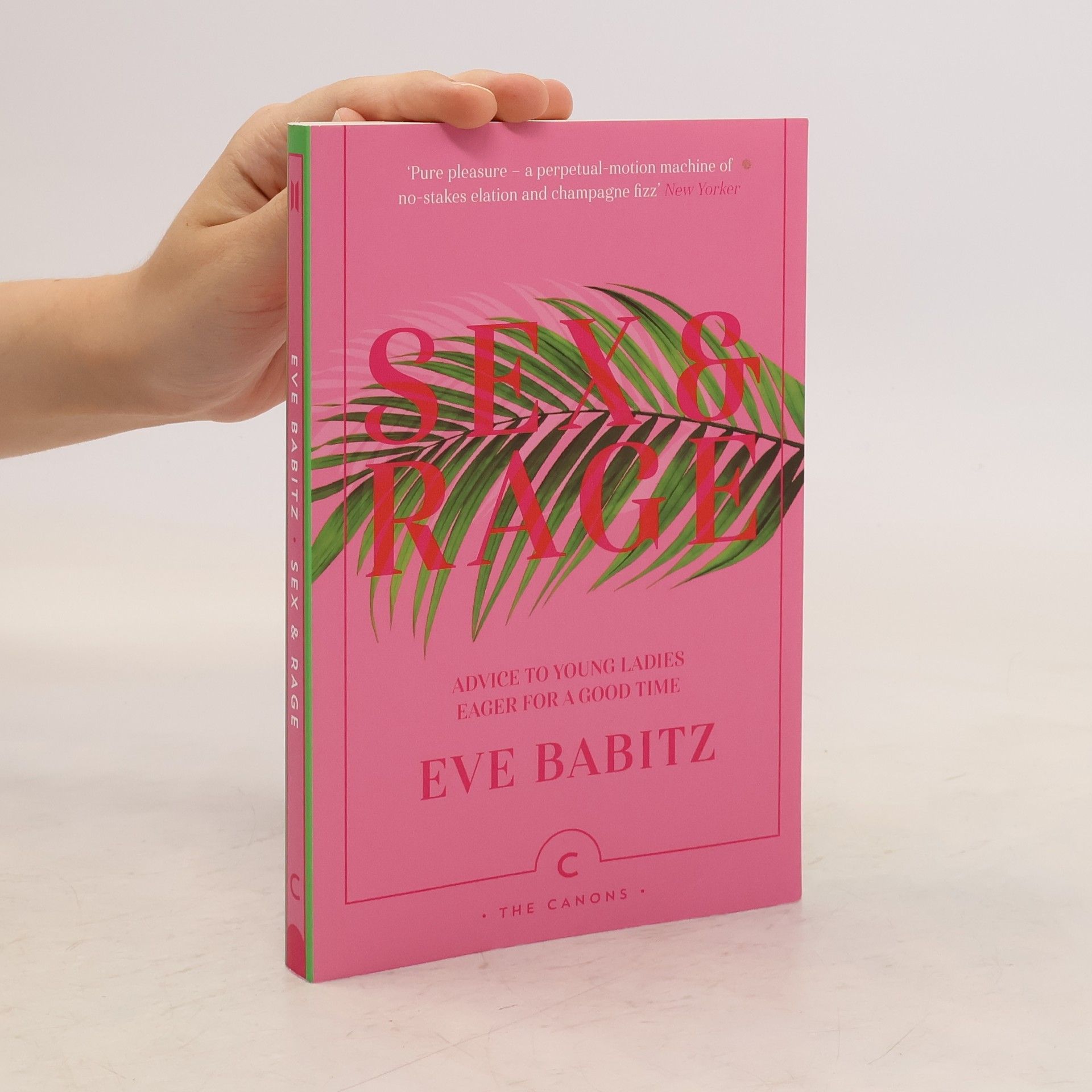 Eve Babitz Sex & Rage