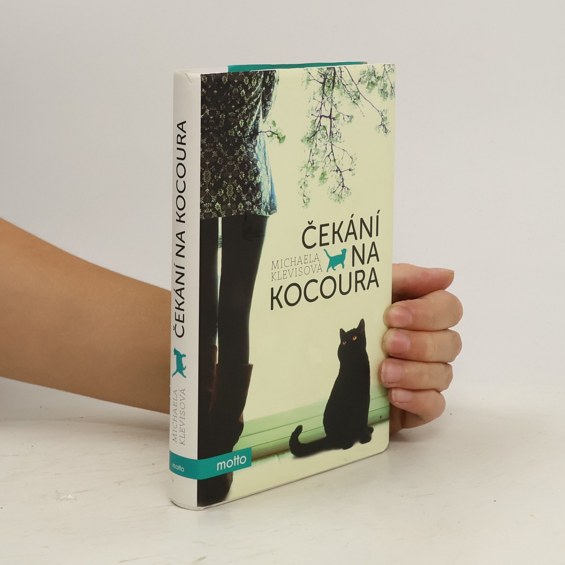 Michaela Klevisová Čekání na kocoura: Příběhy o kočkách a jejich lidech