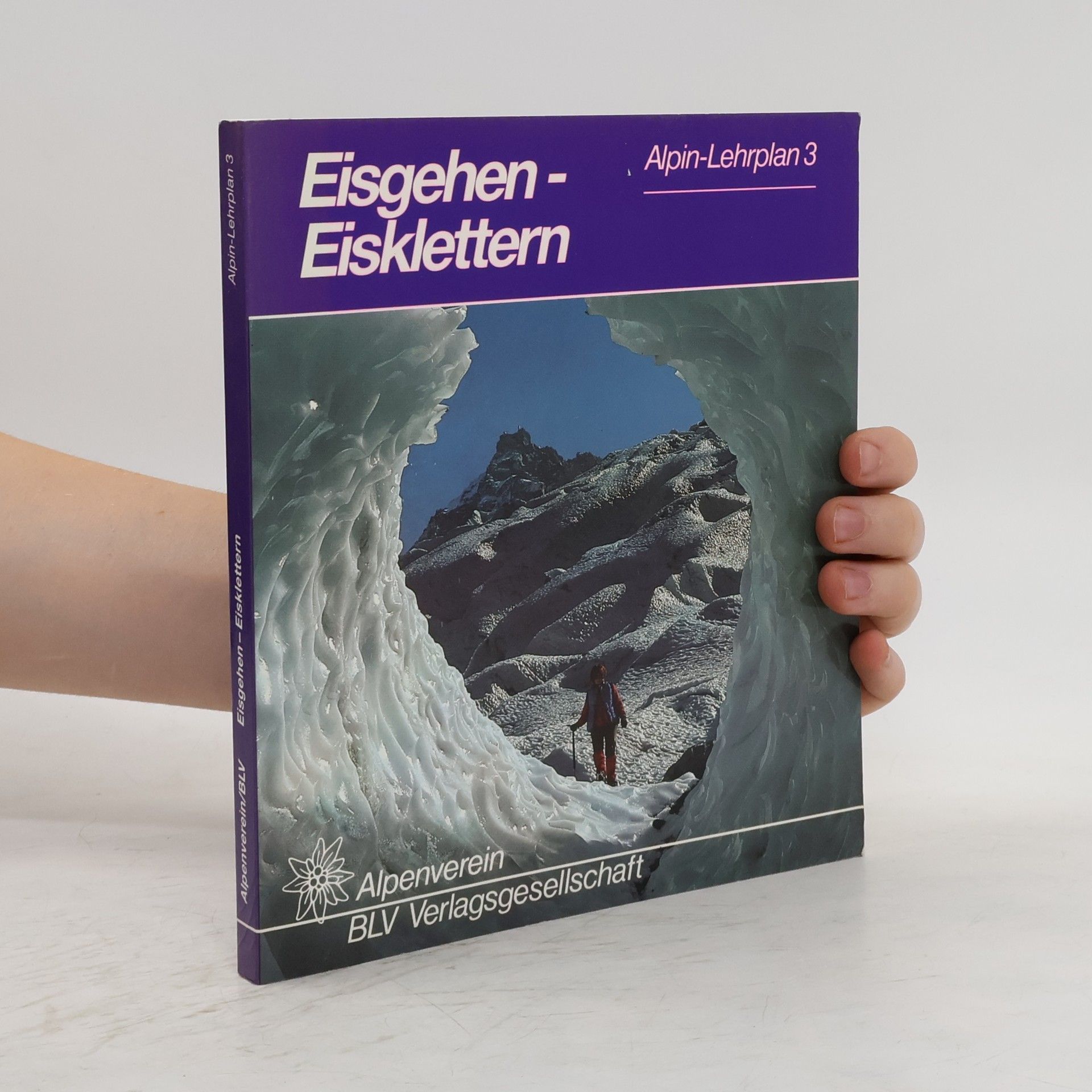 Hans Fuchs Eisgehen, Eisklettern