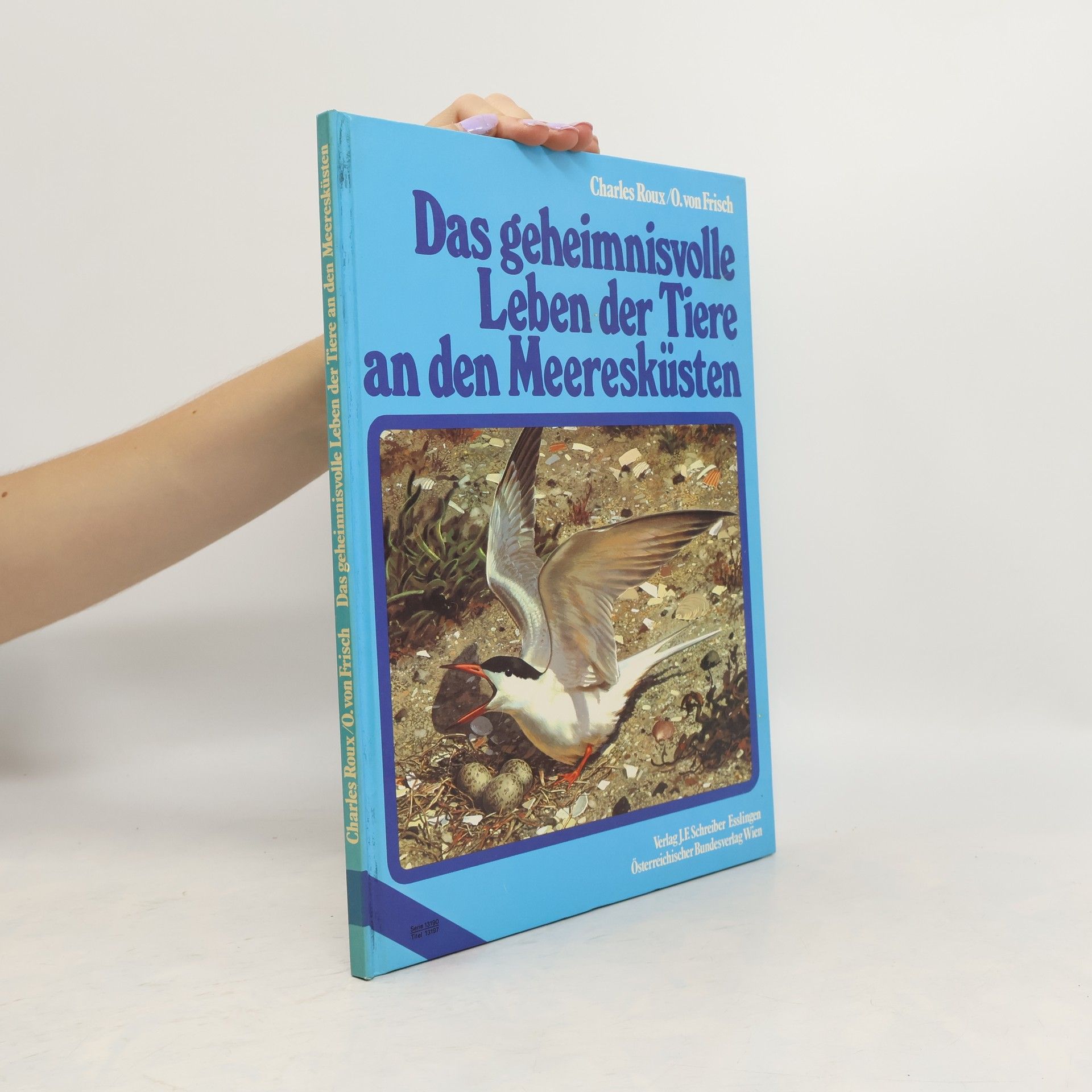 kolektiv Das geheimnisvolle Leben der Tiere an den Meeresküsten