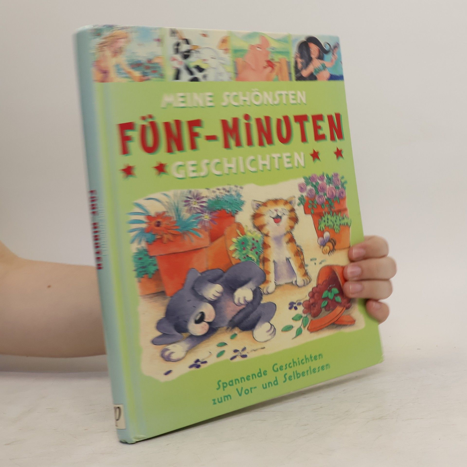 Brigitta Hirt Meine schönsten Fünf-Minuten-Geschichten