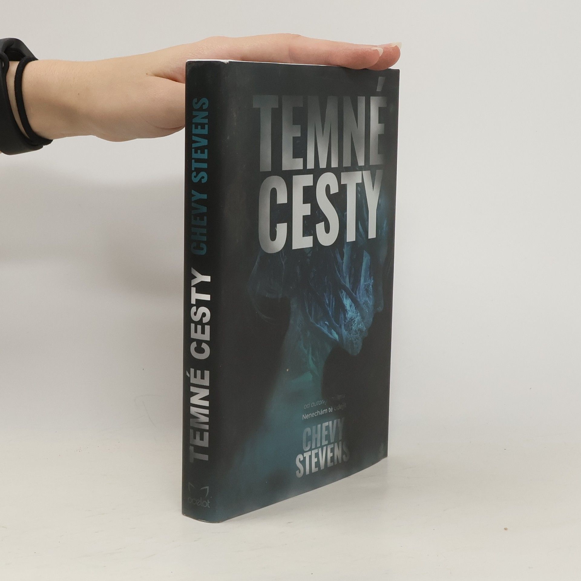 Chevy Stevens Temné cesty