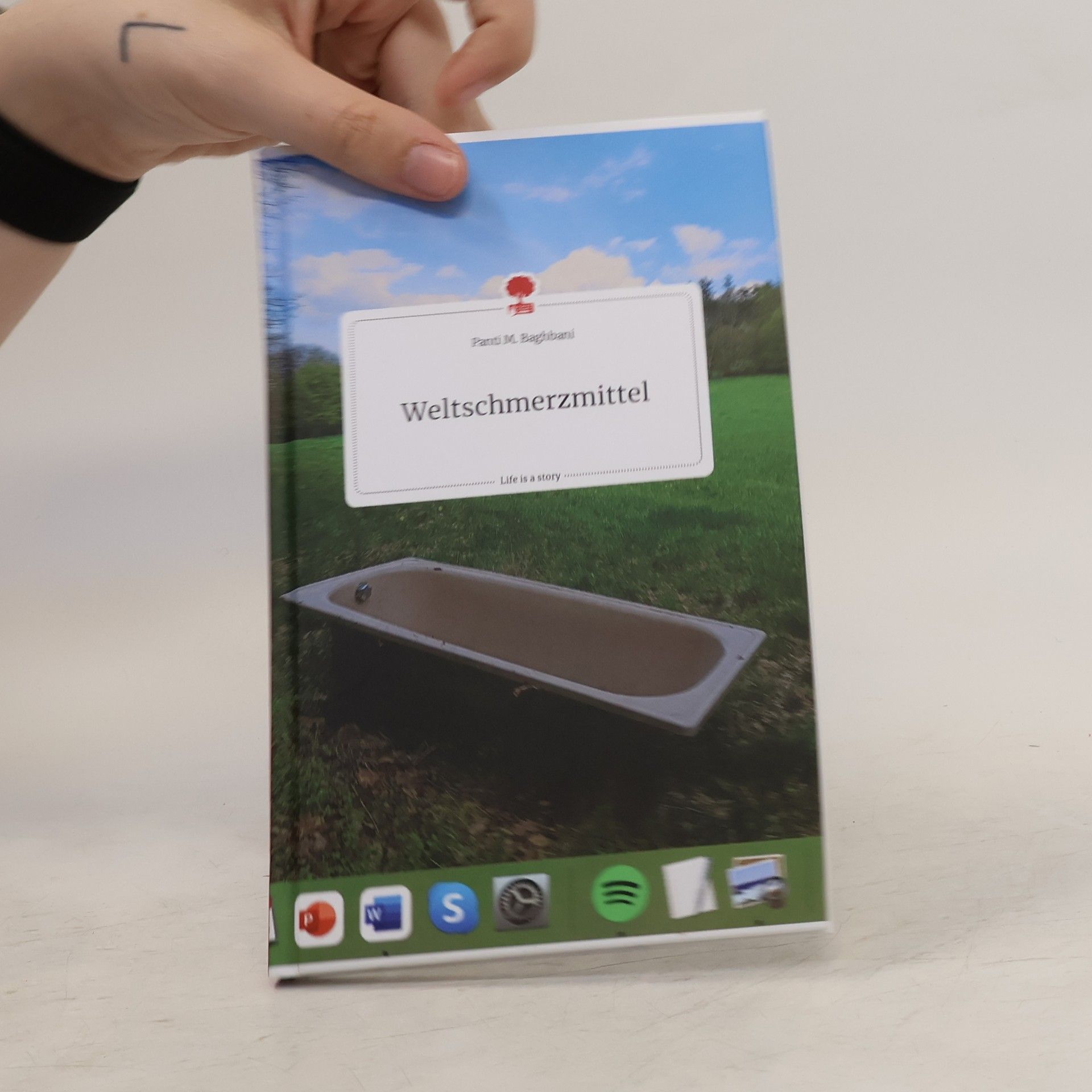 Panti M. Baghbani Weltschmerzmittel