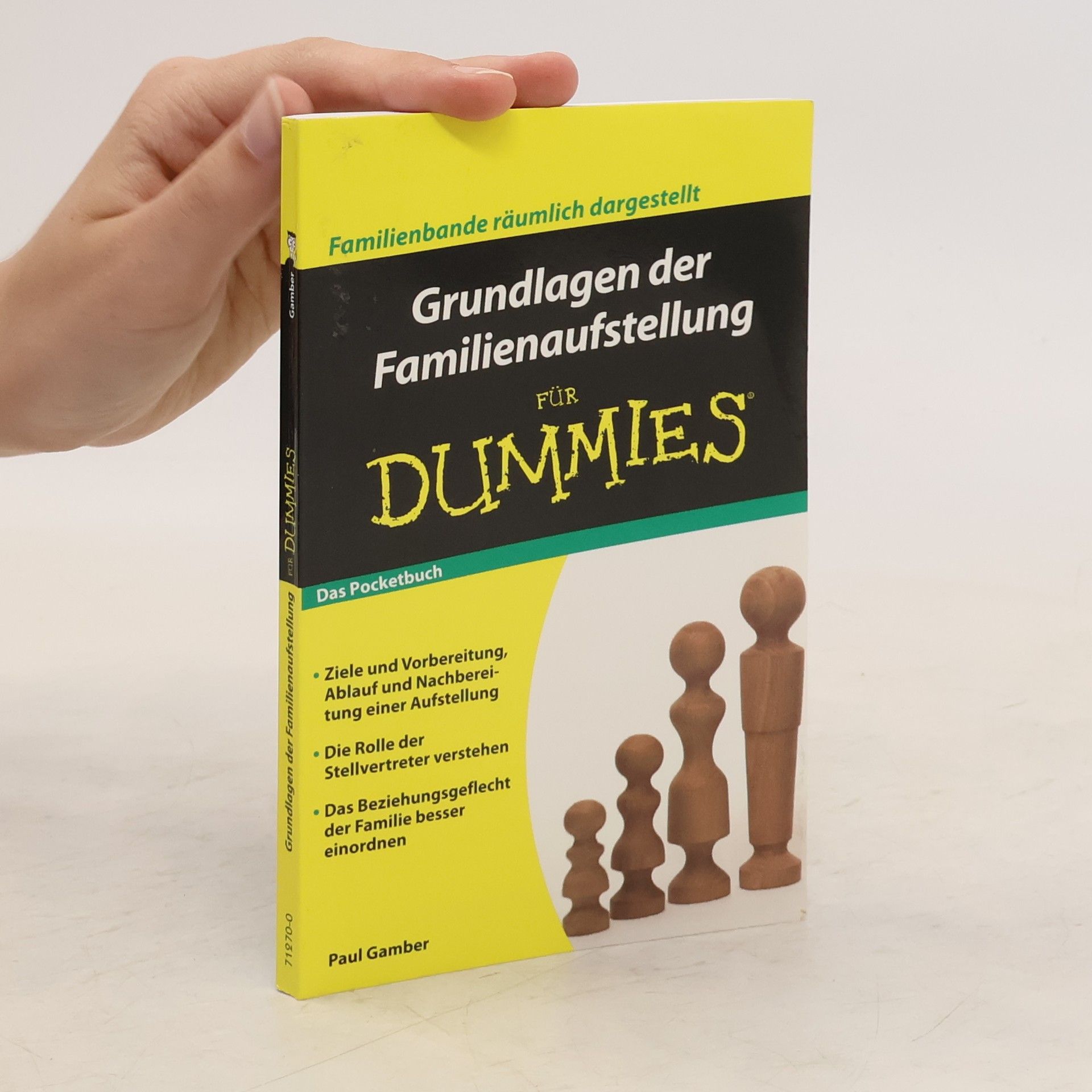 Paul Gamber Grundlagen der Familienaufstellung für Dummies