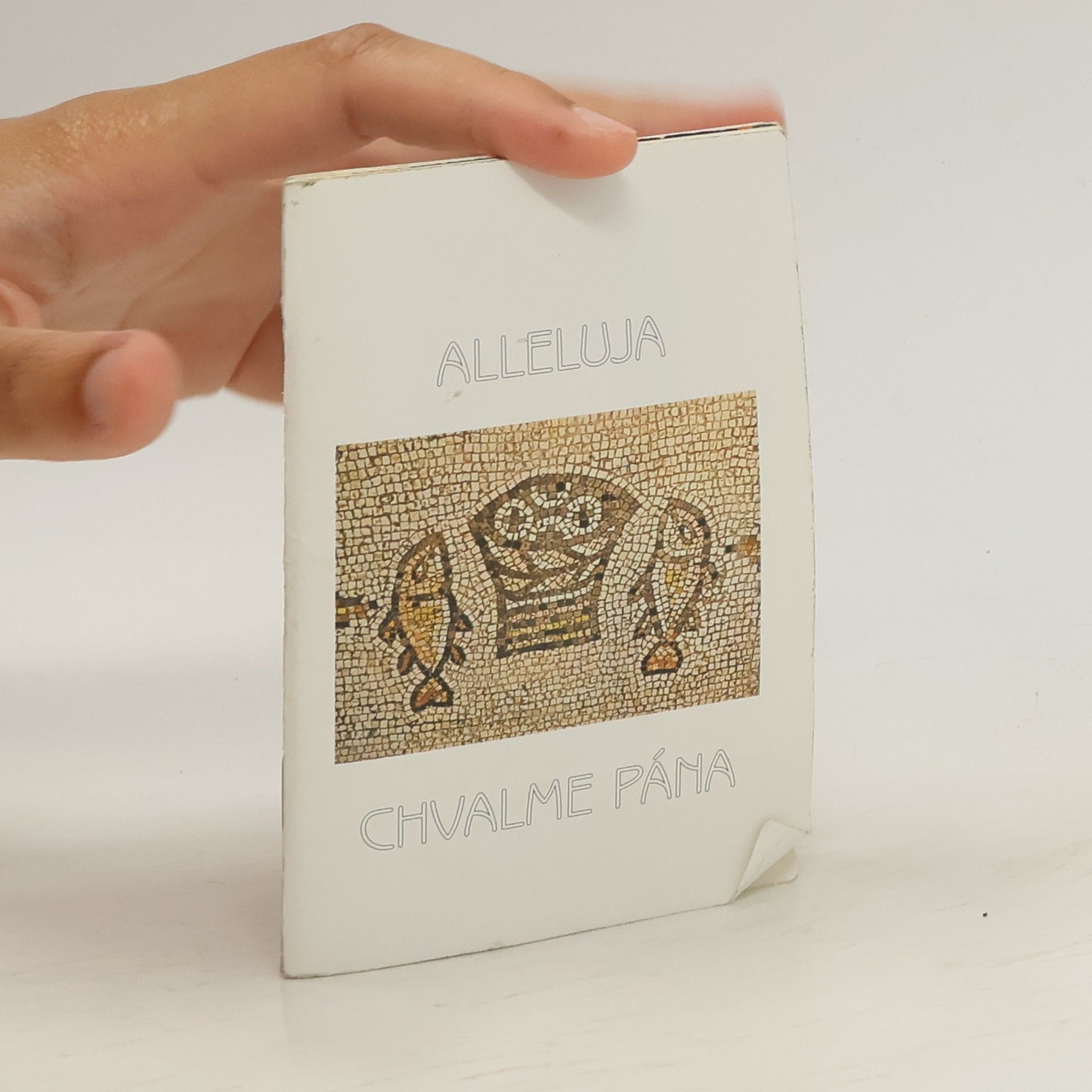 Autorenkollektiv Alleluja chvalme pána