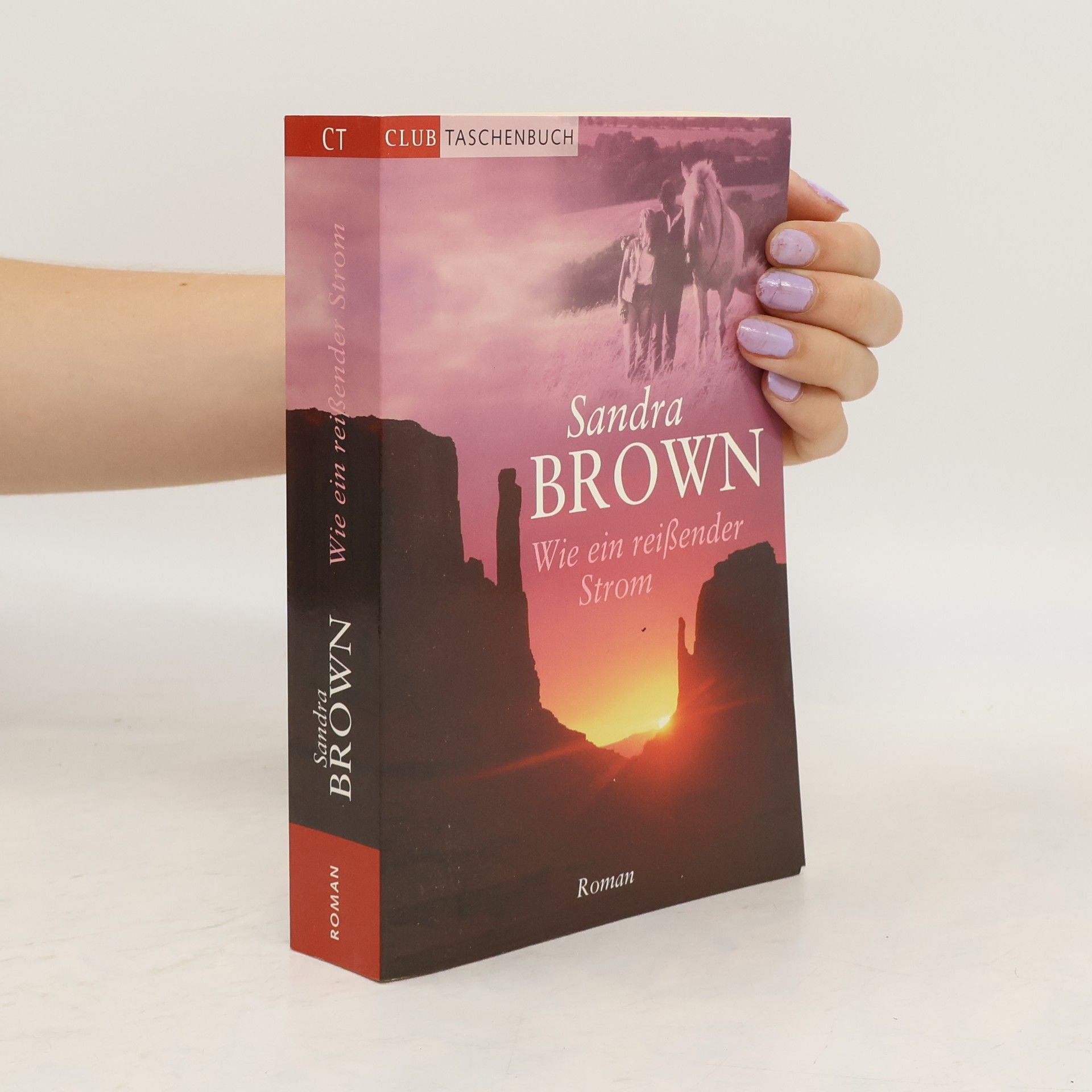 Sandra Brown Wie ein reißender Strom