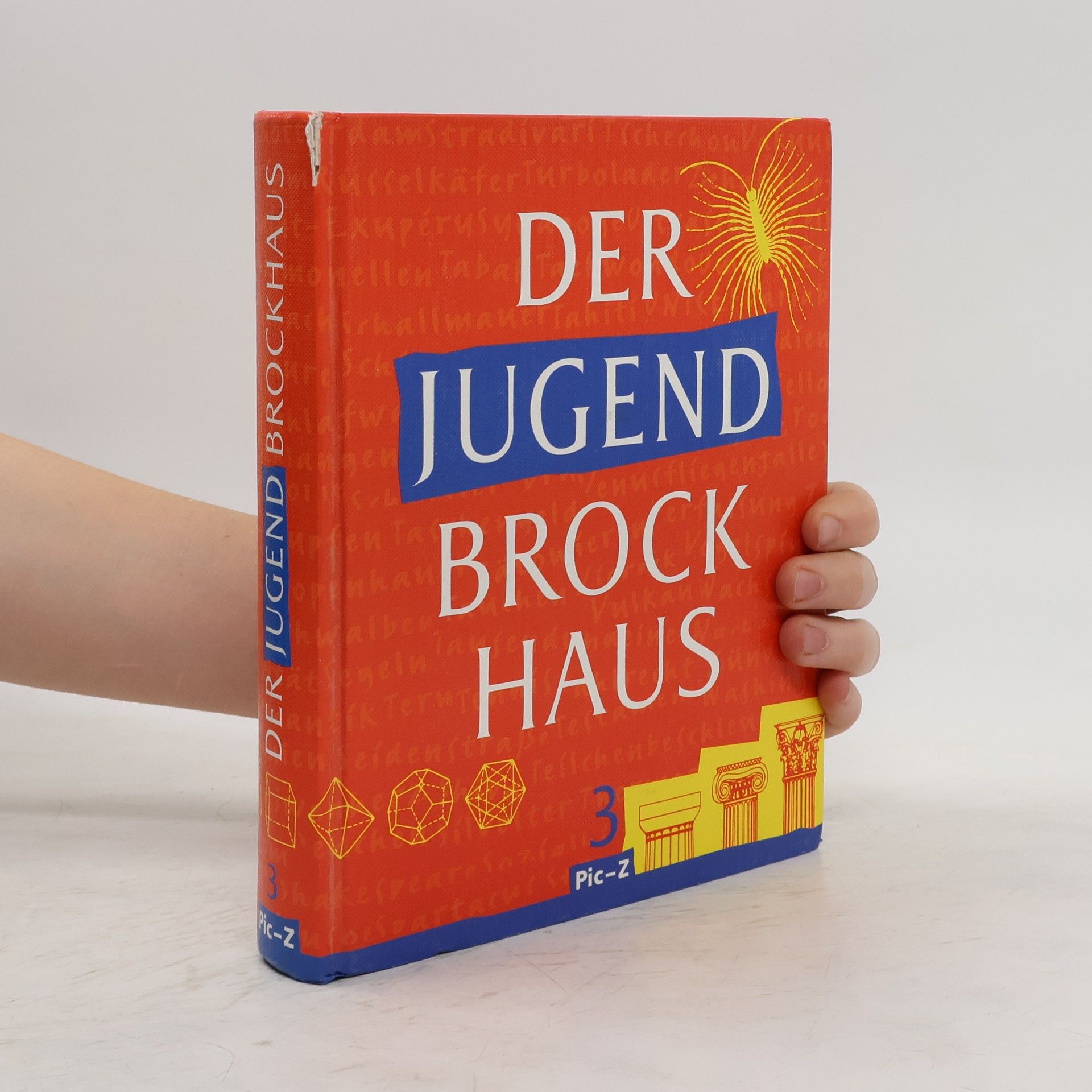 Collectif d'auteurs Der Jugend-Brockhaus 3. Pic-Z