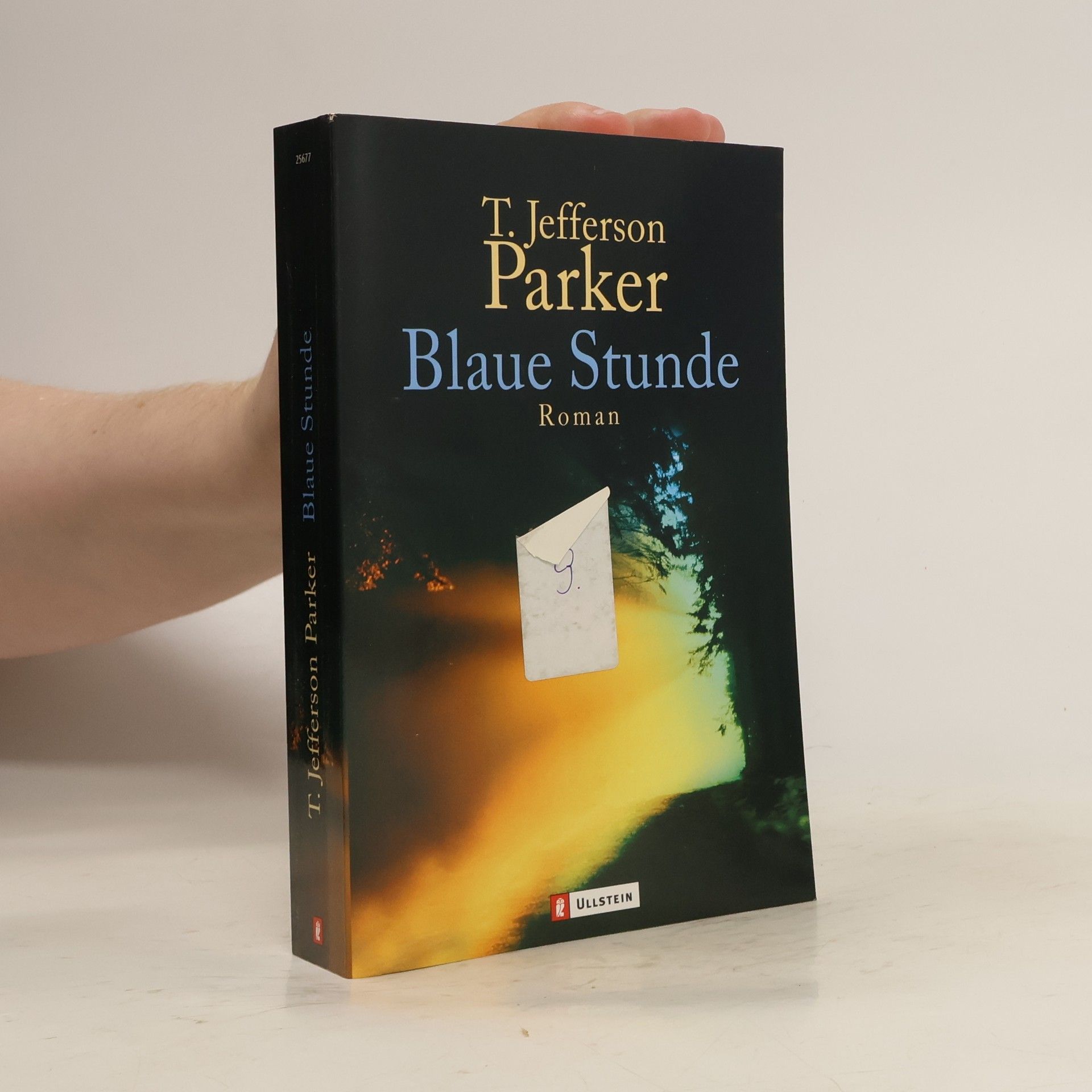 T. Jefferson Parker Blaue Stunde