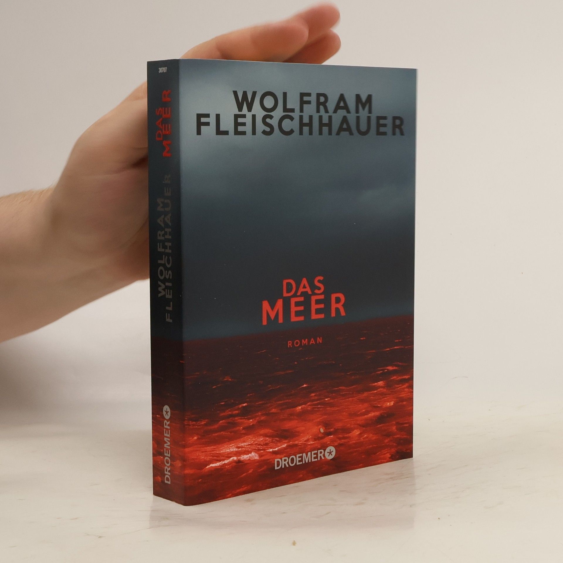 Wolfram Fleischhauer Das Meer