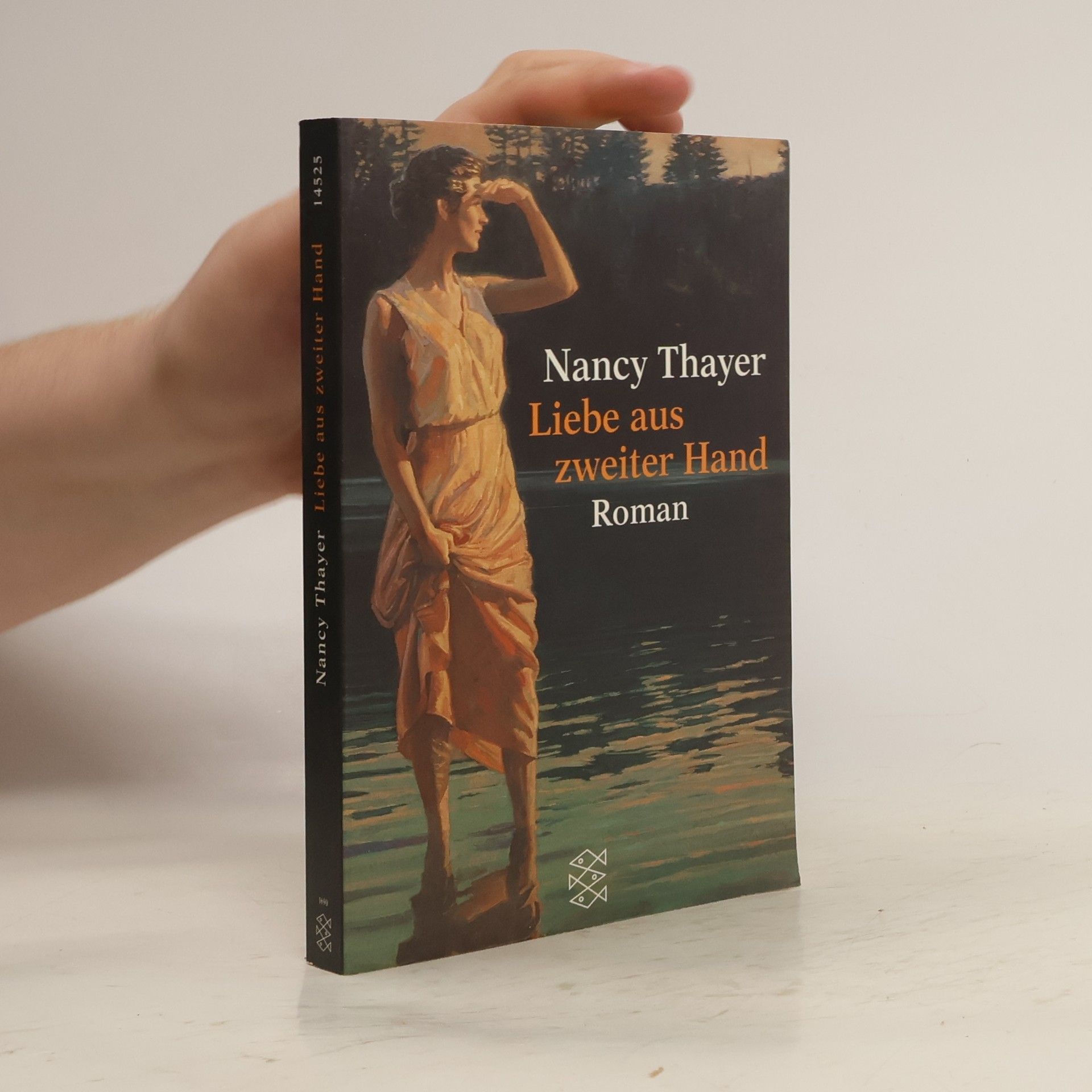 Nancy Thayer Liebe aus zweiter Hand