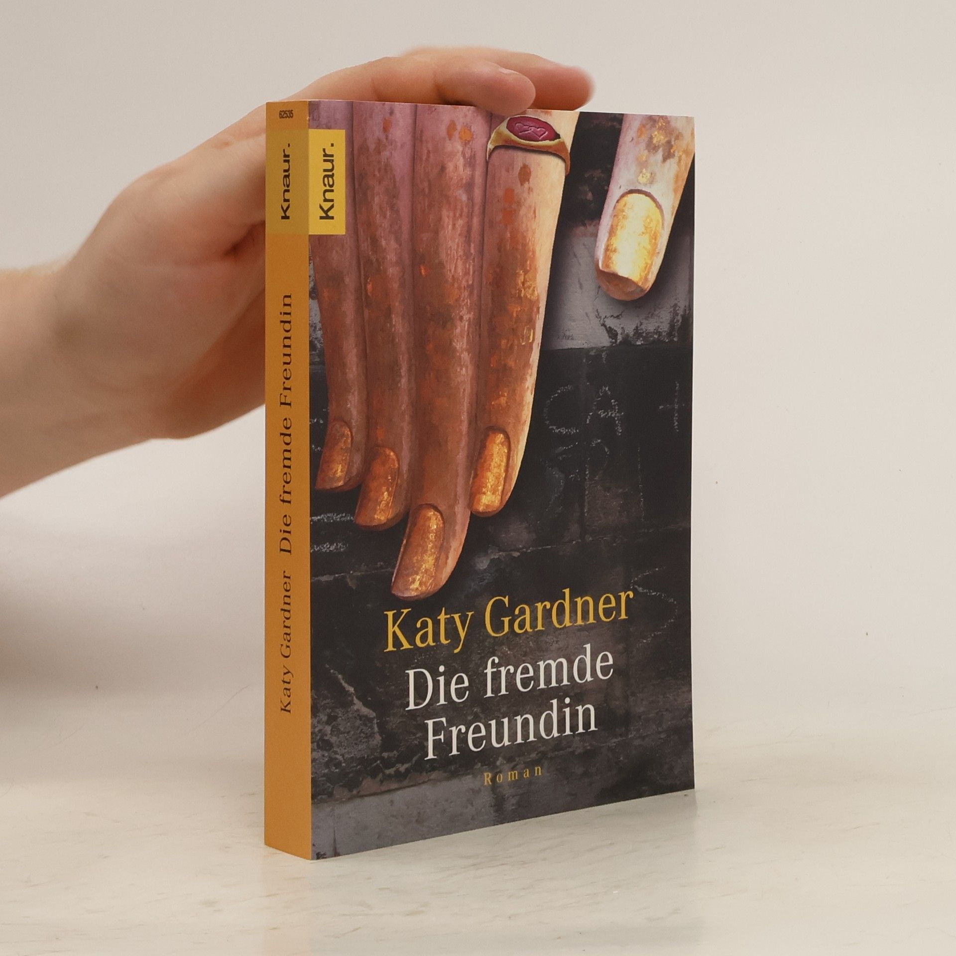 Katy Gardner Die fremde Freundin