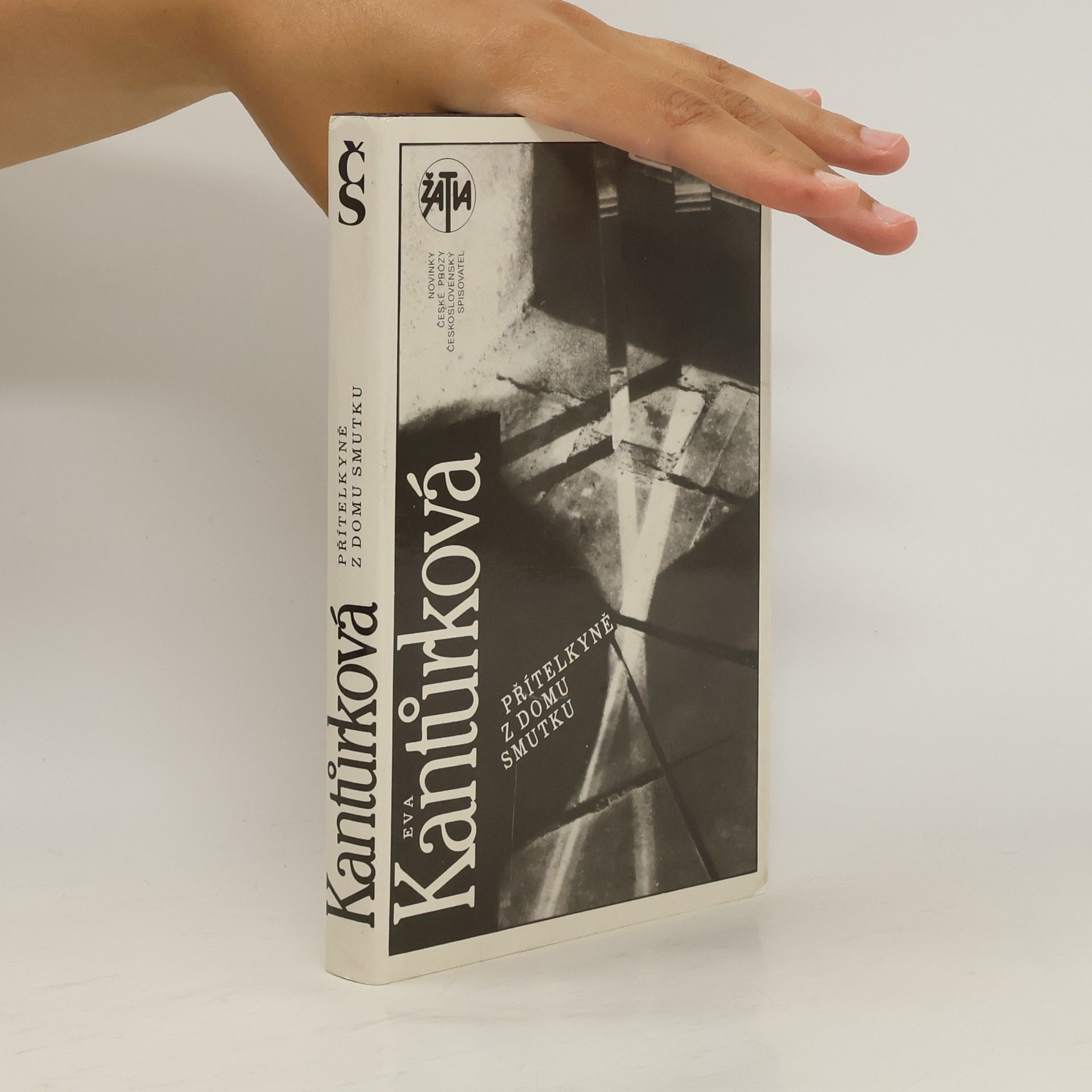 Eva Kantůrková Přítelkyně z domu smutku