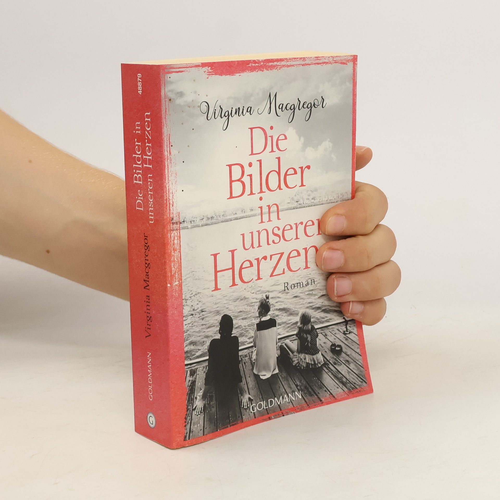 Virginia Macgregor Die Bilder in unseren Herzen