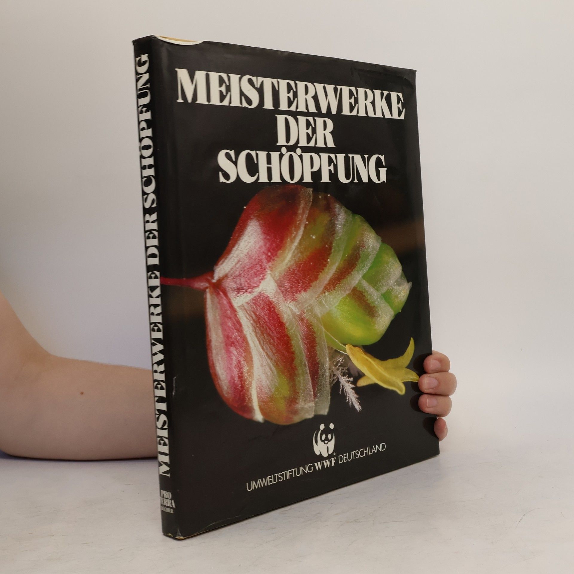 Autorenkollektiv Meisterwerke der Schöpfung