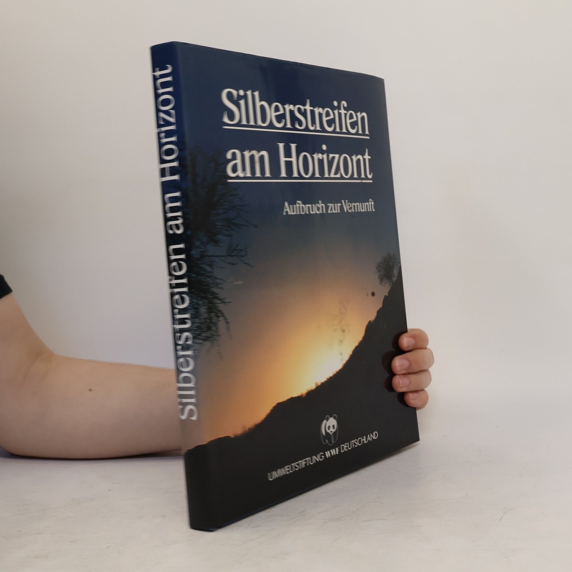 kolektiv Silberstreifen am Horizont