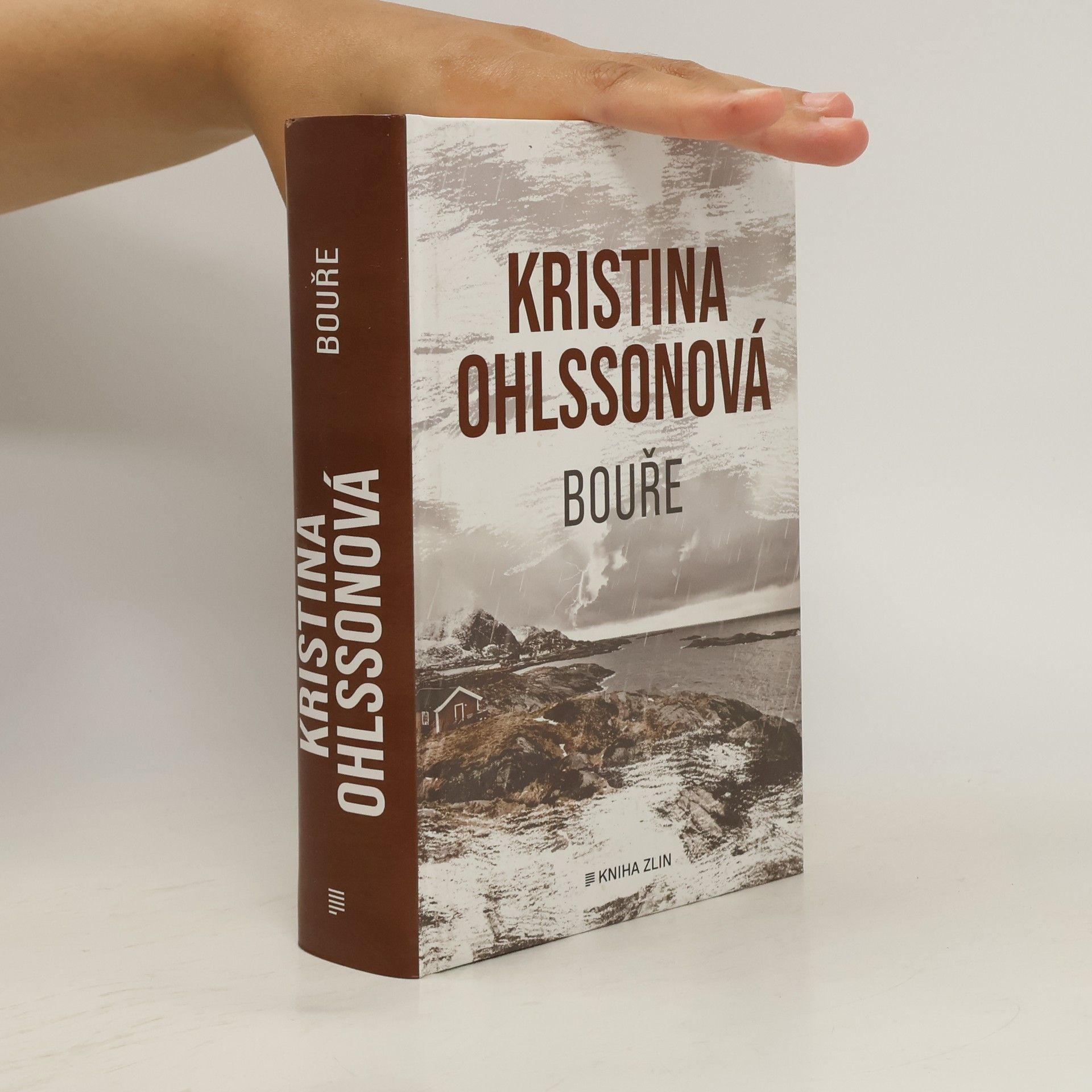 Kristina Ohlsson Bouře