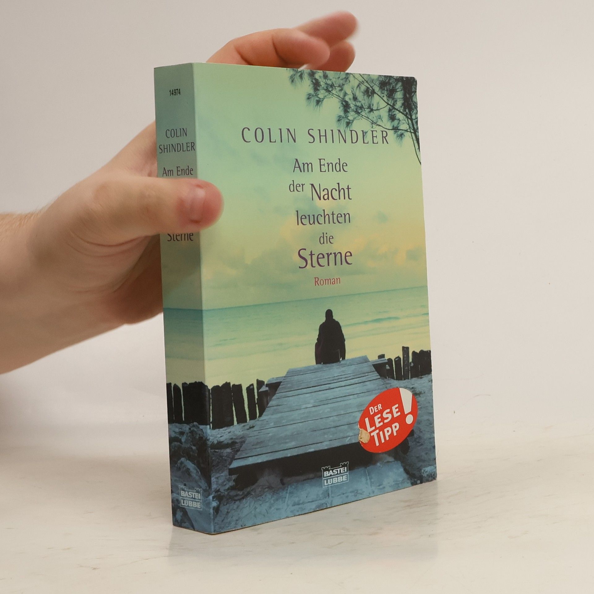 Colin Shindler Am Ende der Nacht leuchten die Sterne