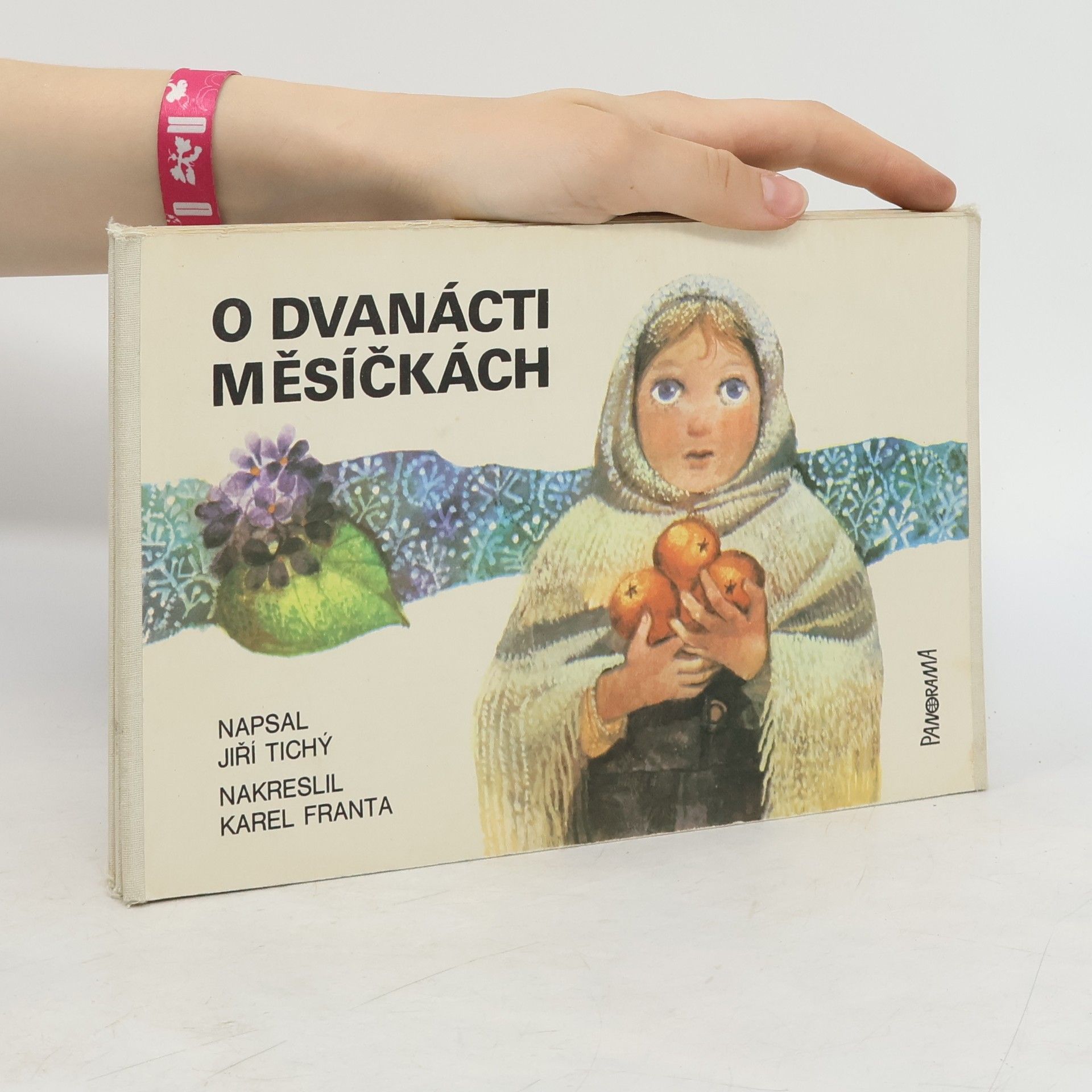 Jiří Tichý O dvanácti měsíčkách