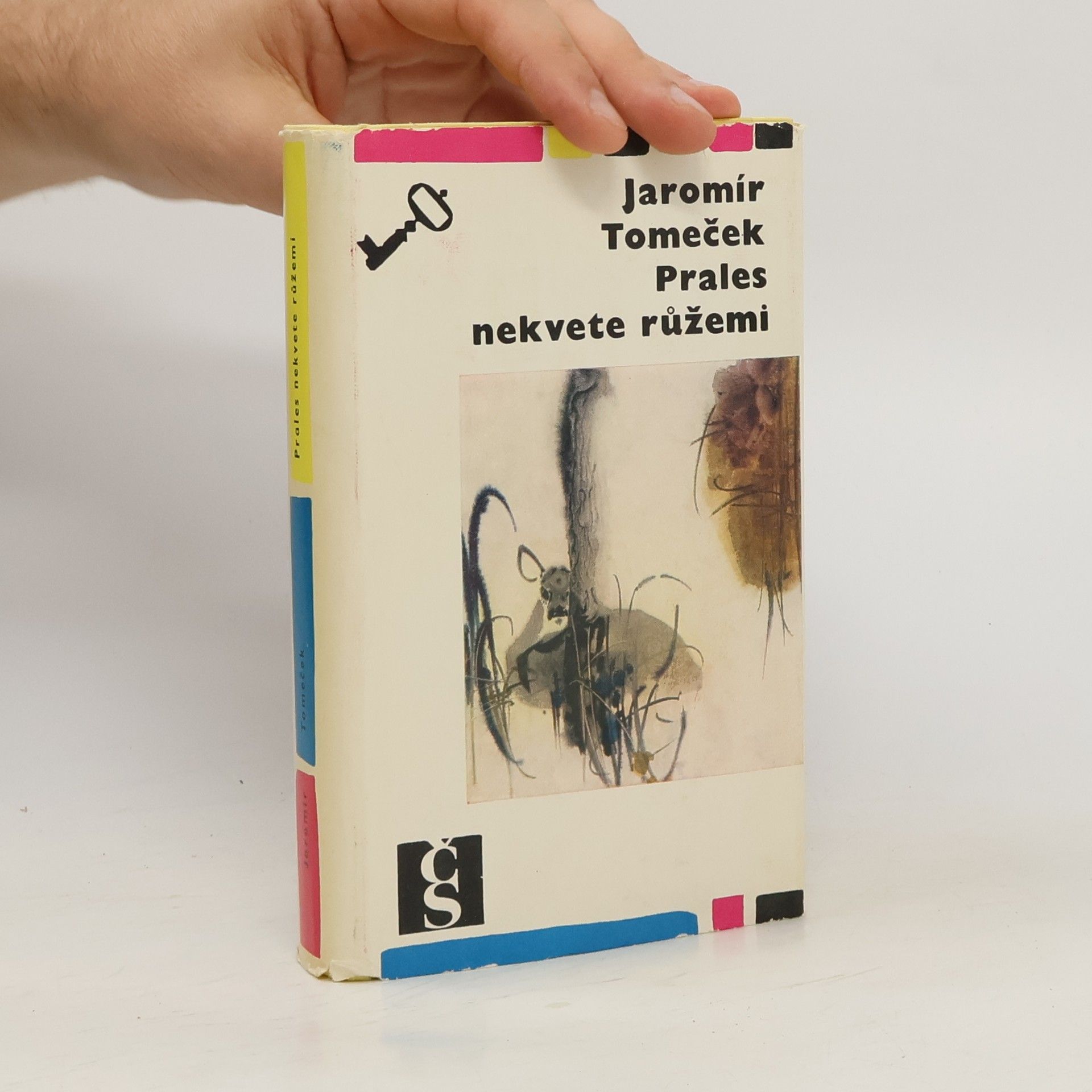 Jaromír Tomeček Prales nekvete růžemi