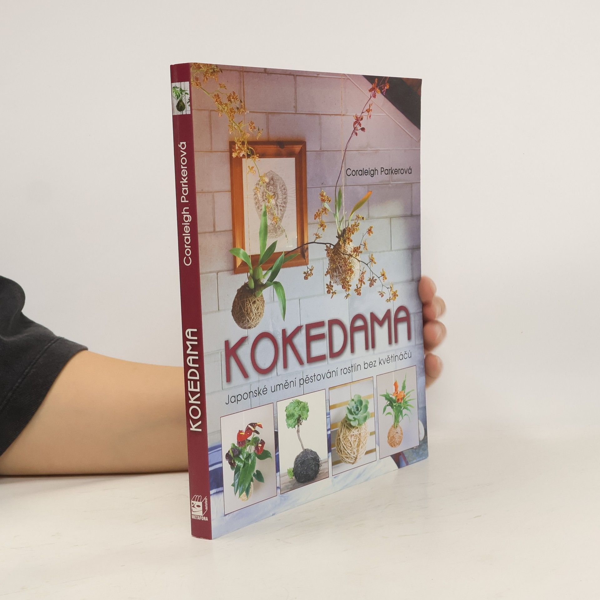 Coraleigh Parker Kokedama - Japonské umění pěstování rostlin bez květináčů