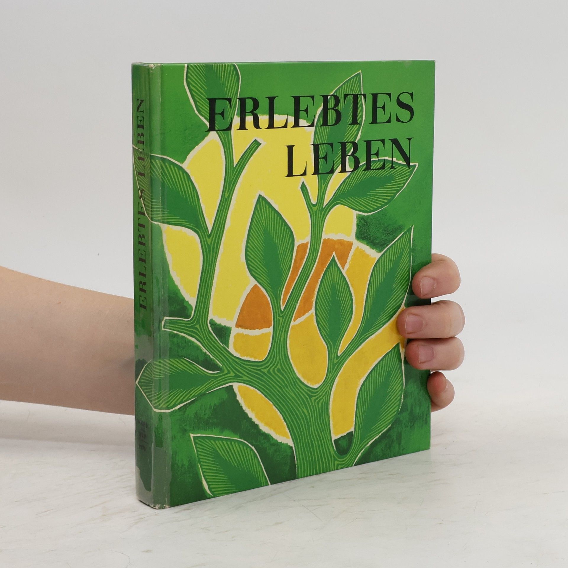 Autorenkollektiv Erlebtes Leben