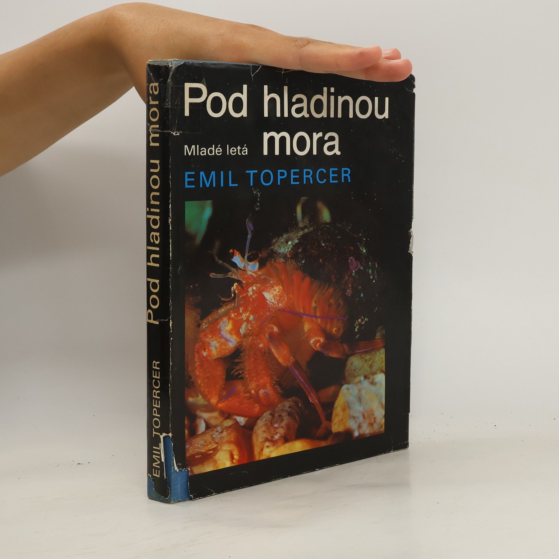 Emil Topercer Pod hladinou mora