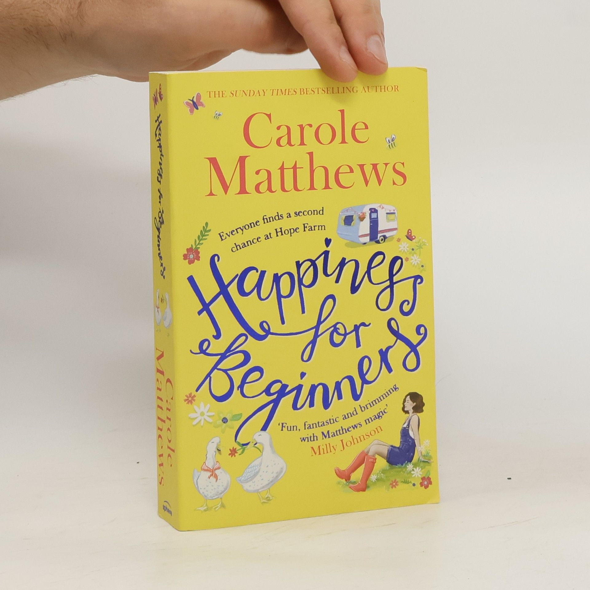 Carole Matthews Happiness for Beginners