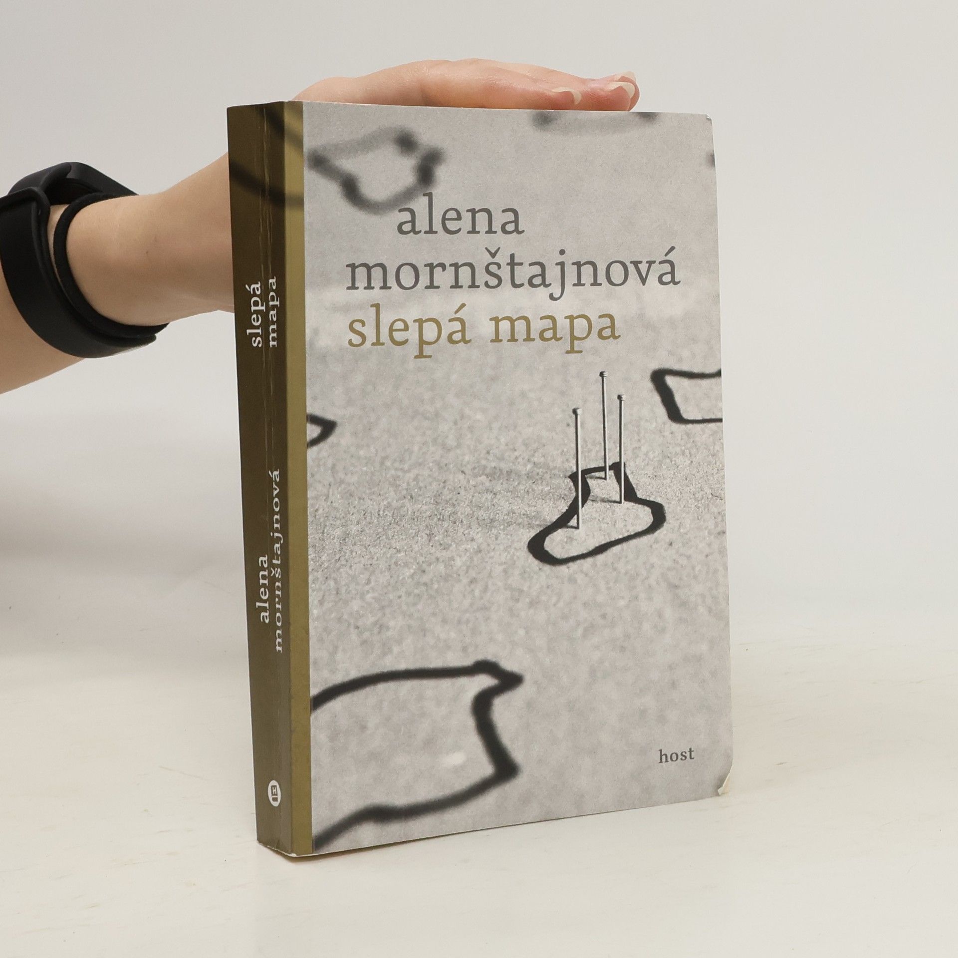 Alena Mornštajnová Slepá mapa