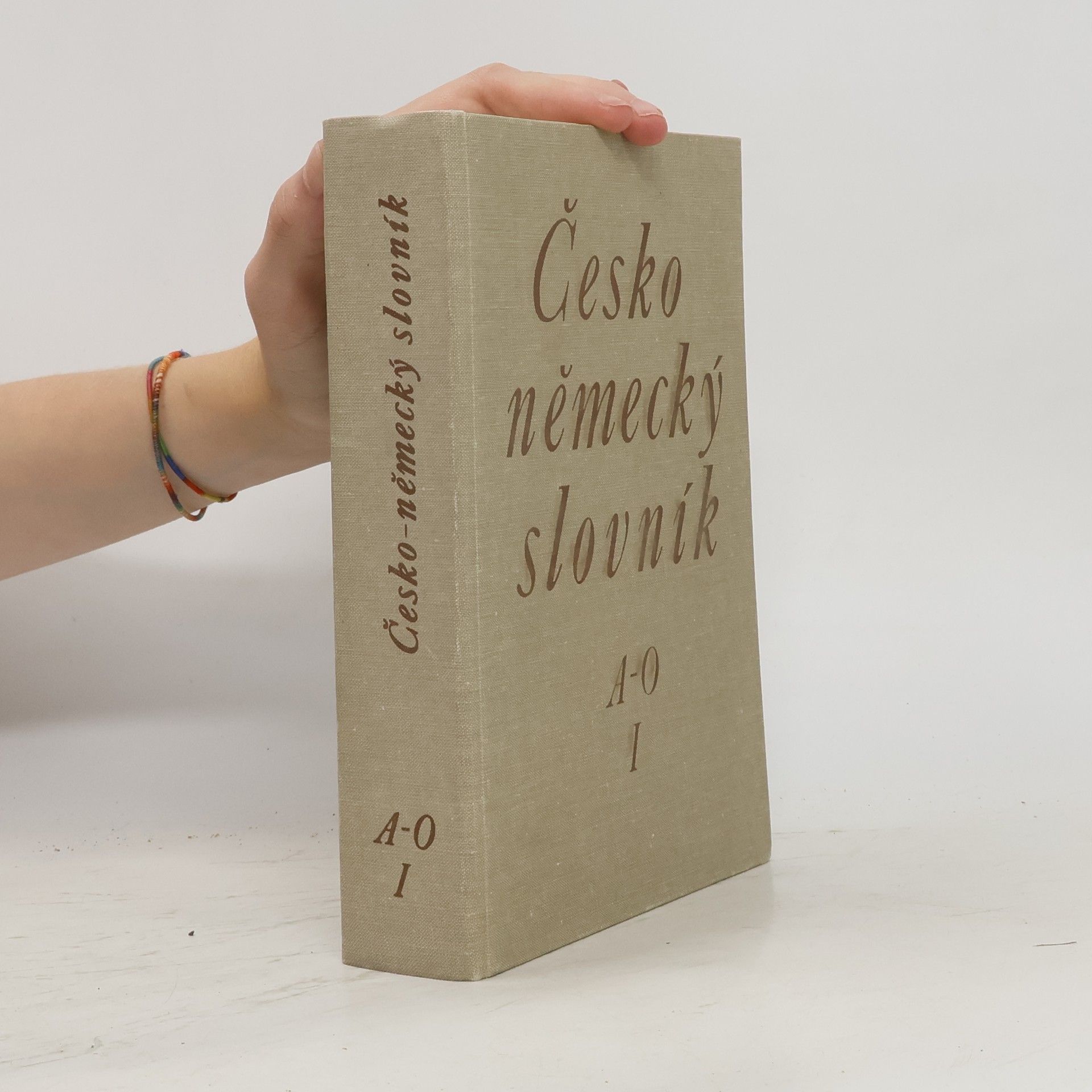 Autorenkollektiv Česko-německý slovník 1. díl A-O