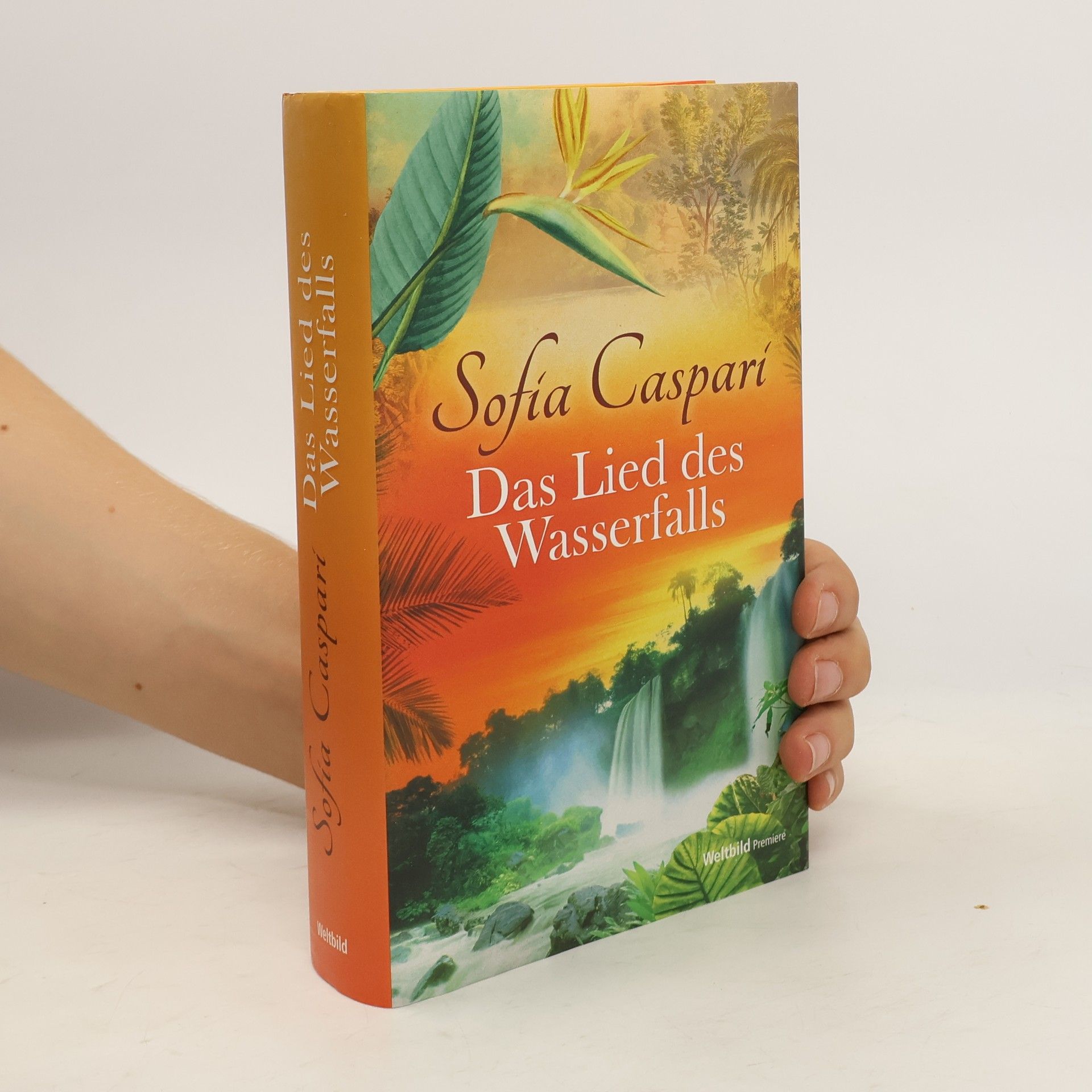 Sofia Caspari Das Lied des Wasserfalls
