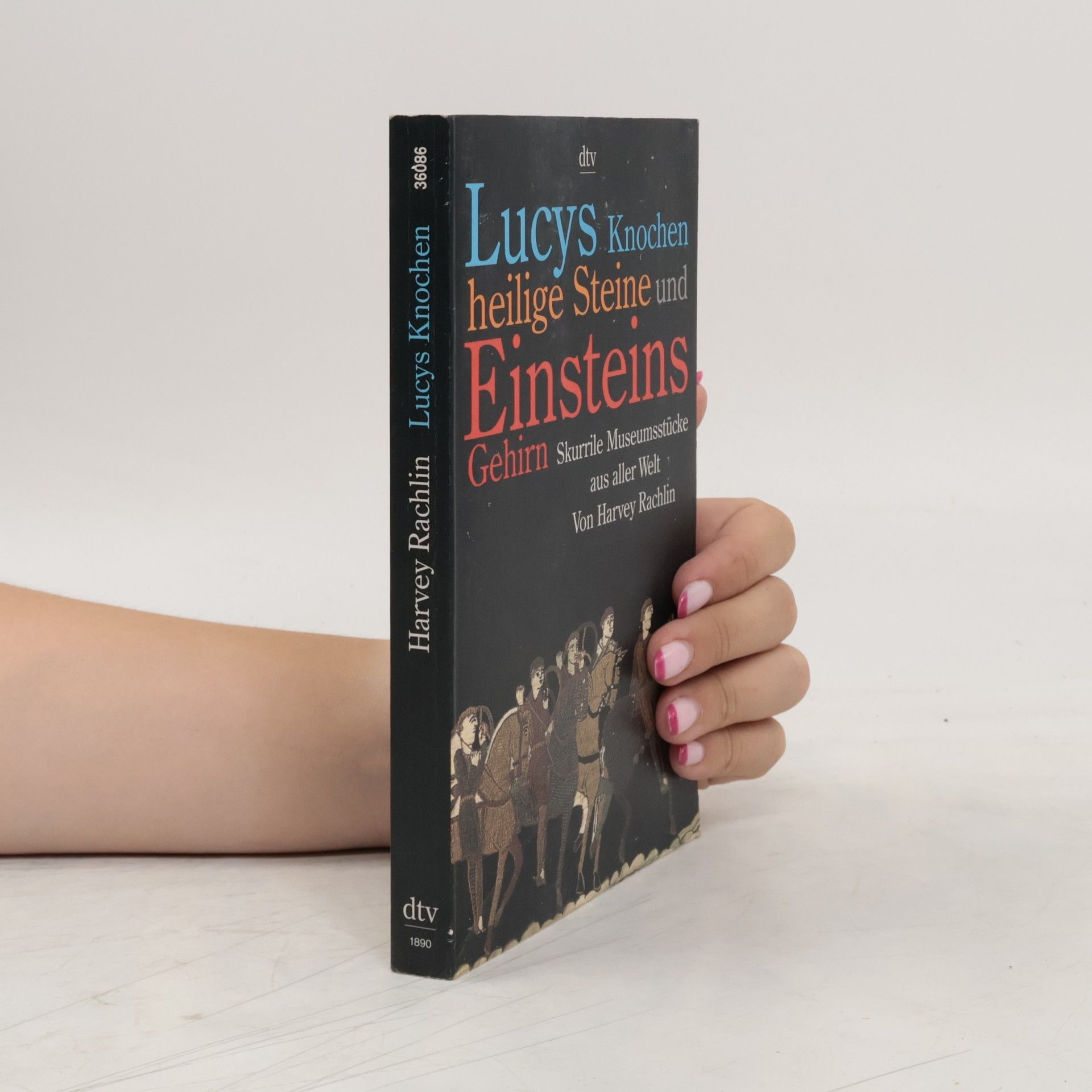 Harvey Rachlin Lucys Knochen, heilige Steine und Einsteins Gehirn