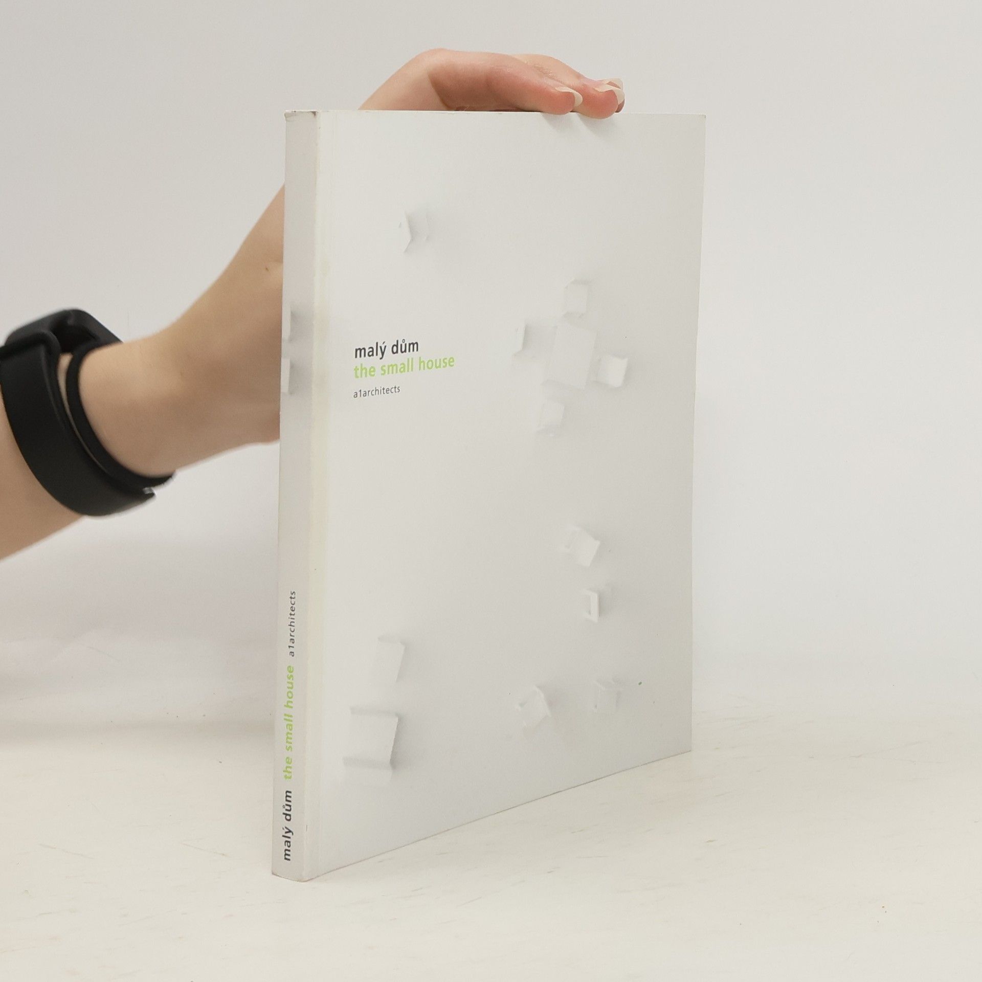AA.VV. Malý dům ; The Small House