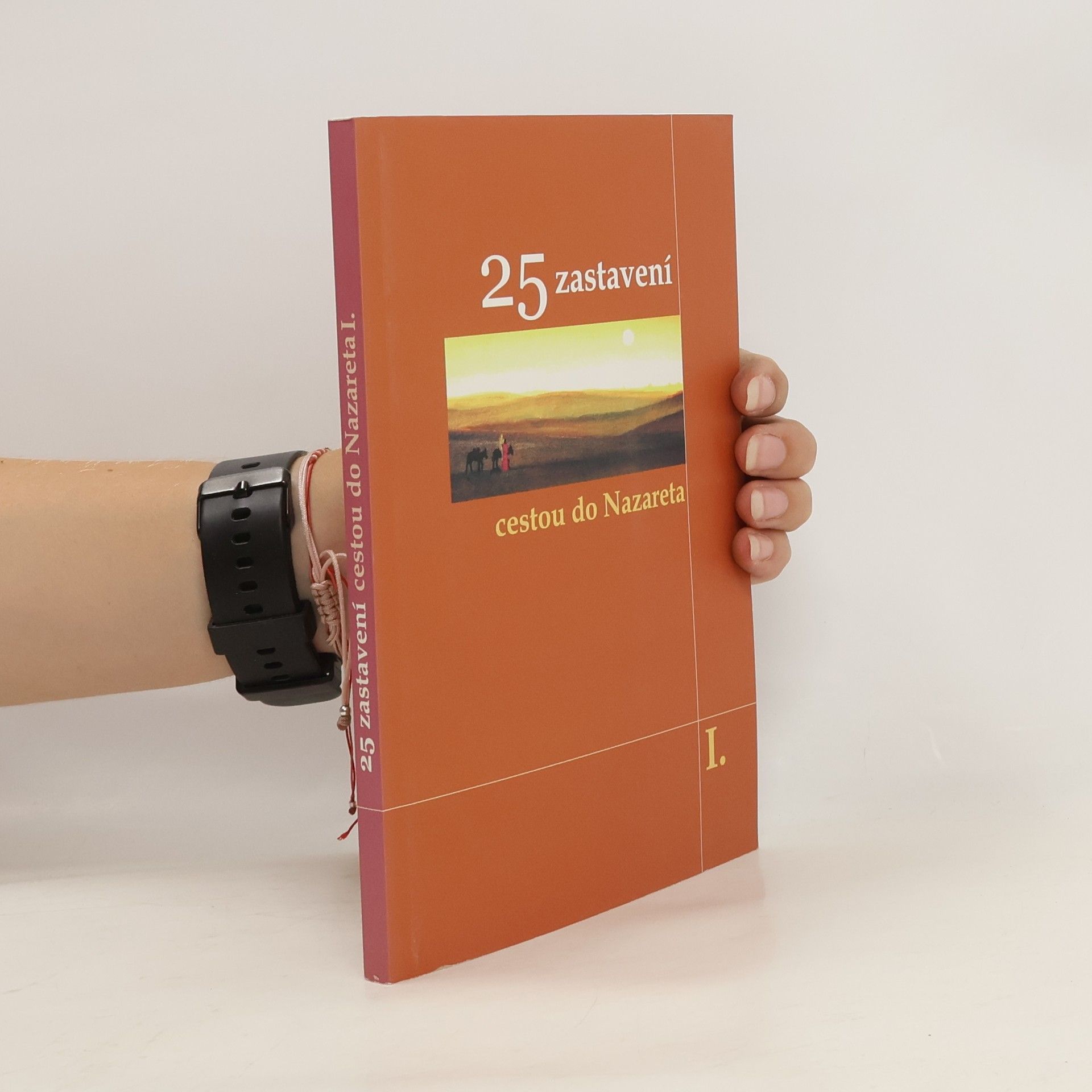 Auteurscollectief 25 zastavení cestou do Nazareta I.