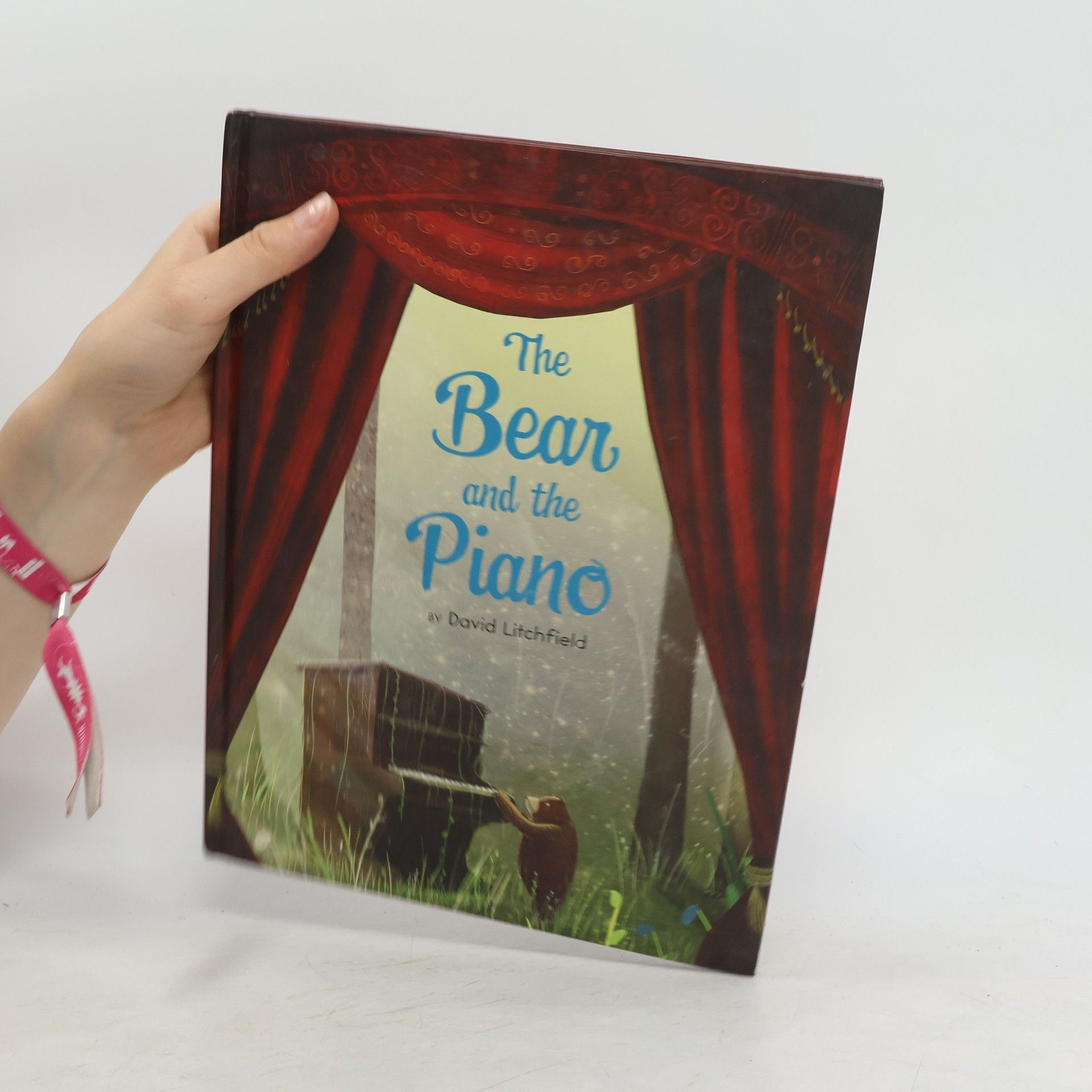 David Litchfield The Bear and the Piano