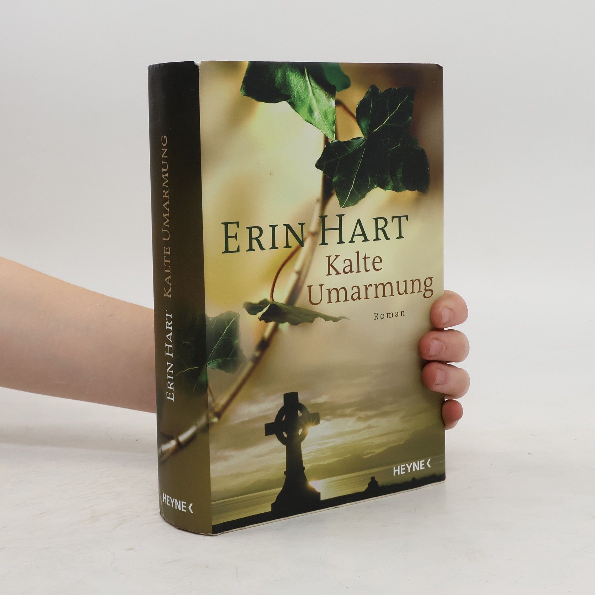 Erin Hart Kalte Umarmung