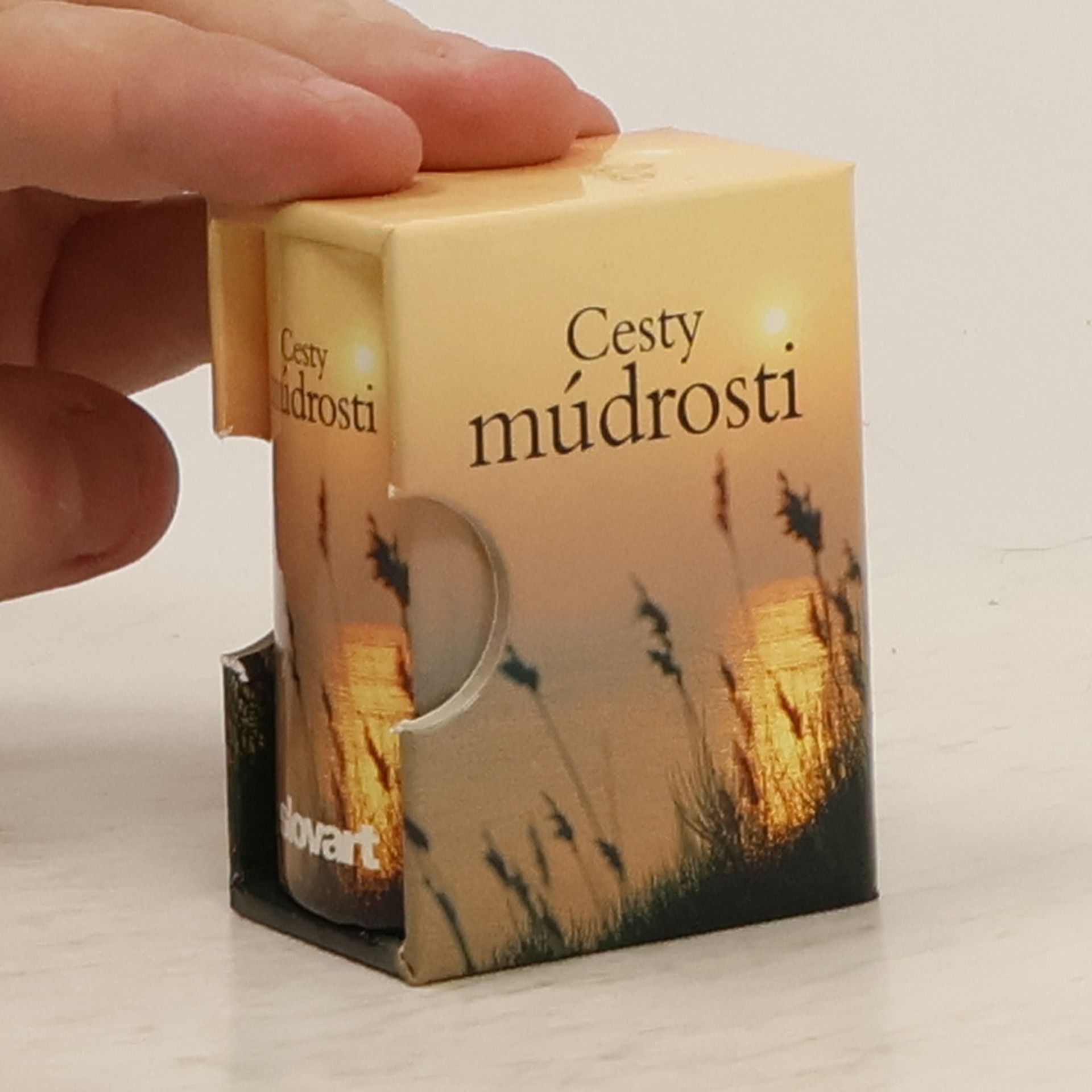 Autorenkollektiv Cesty múdrosti