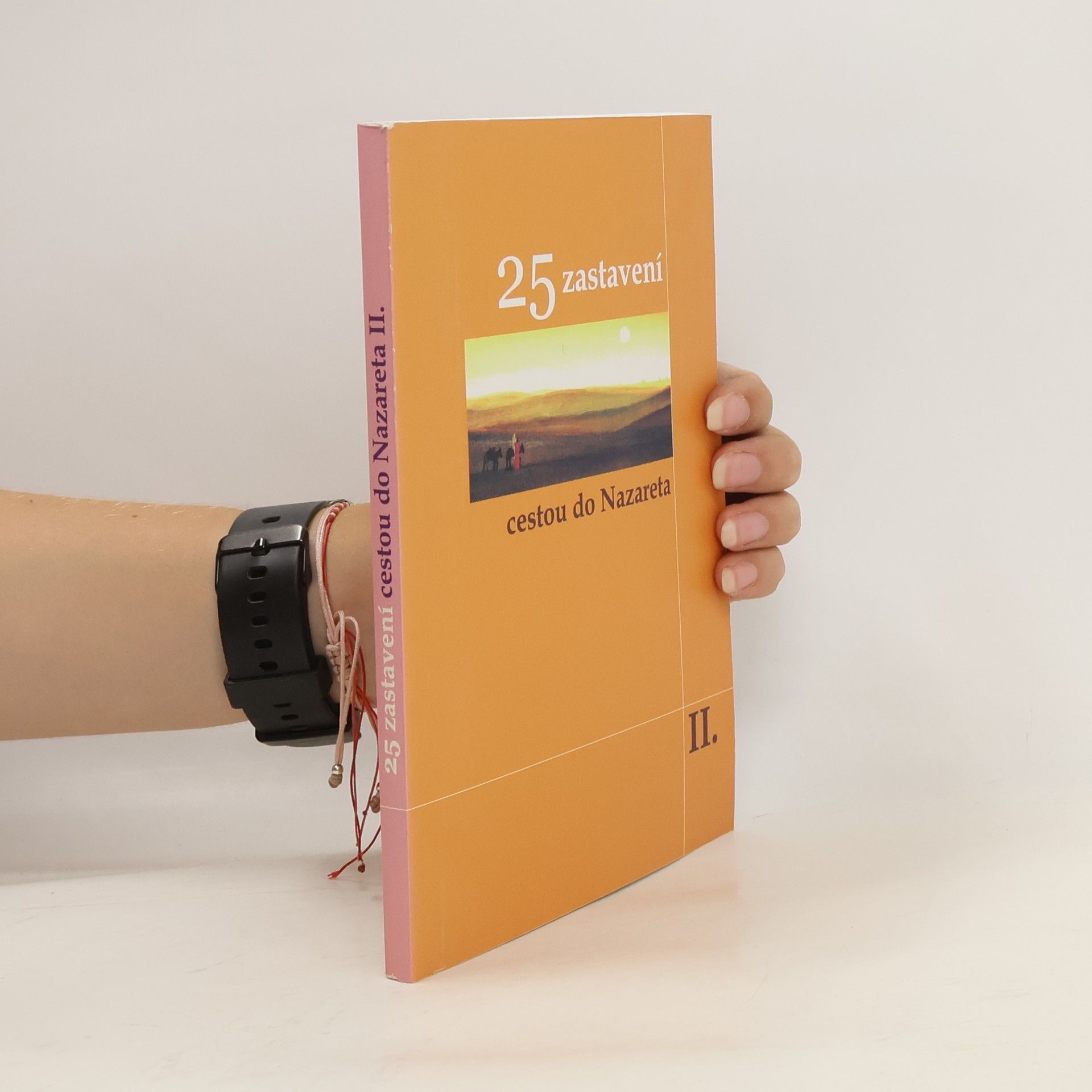 AA.VV. 25 zastavení cestou do Nazareta II.