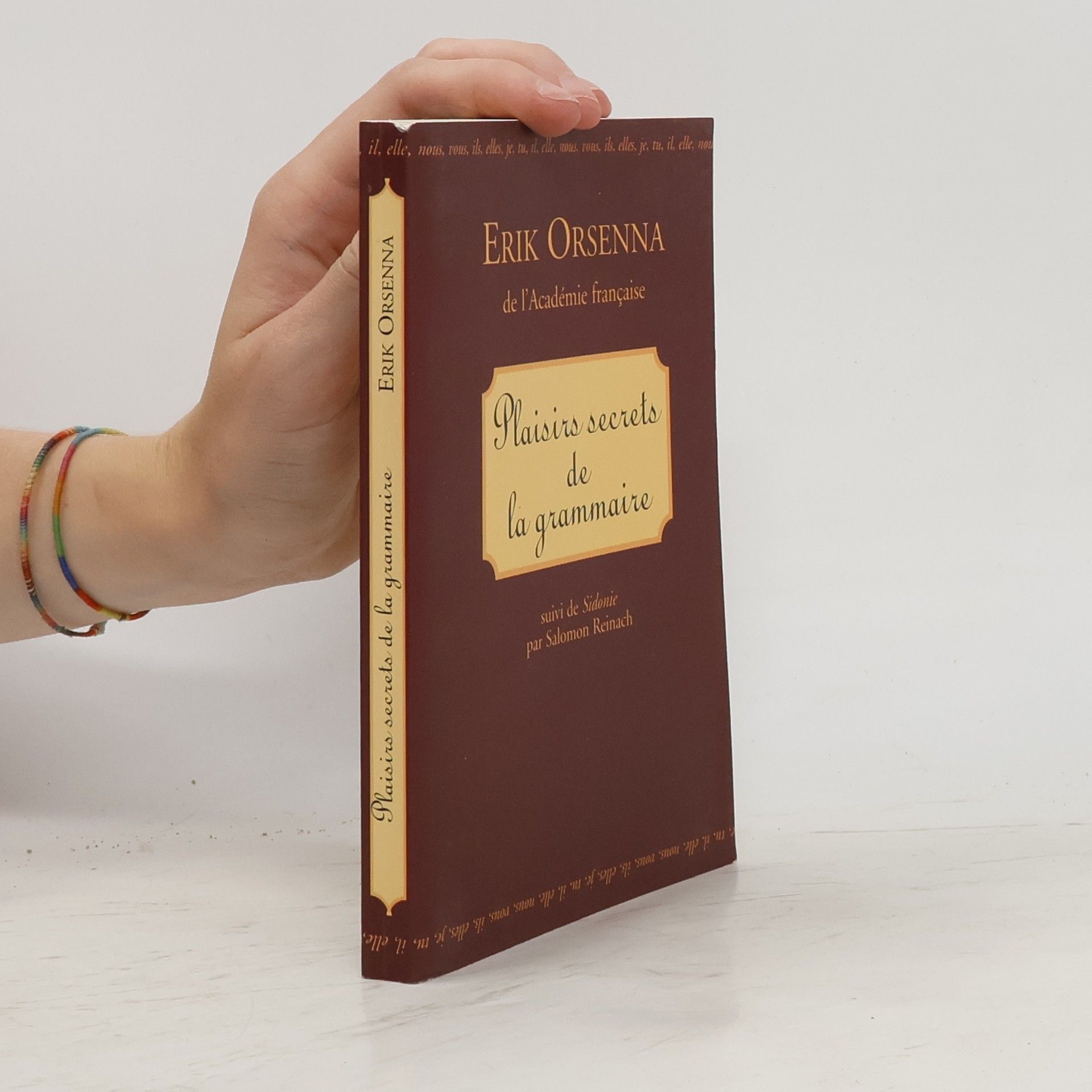 E. rik Orsenna Plaisirs secrets de la grammaire
