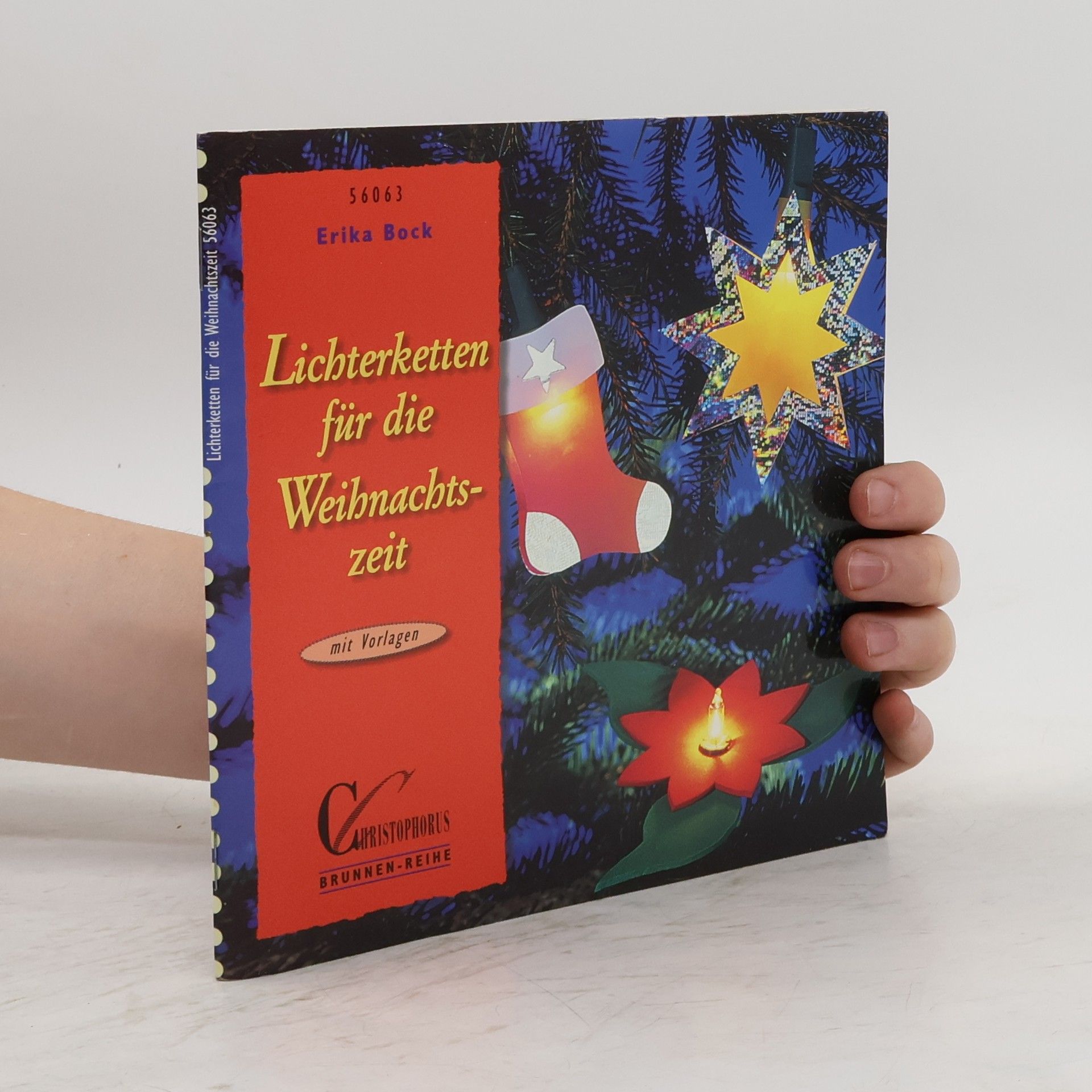 Autorenkollektiv Lichterketten für die Weihnachtszeit