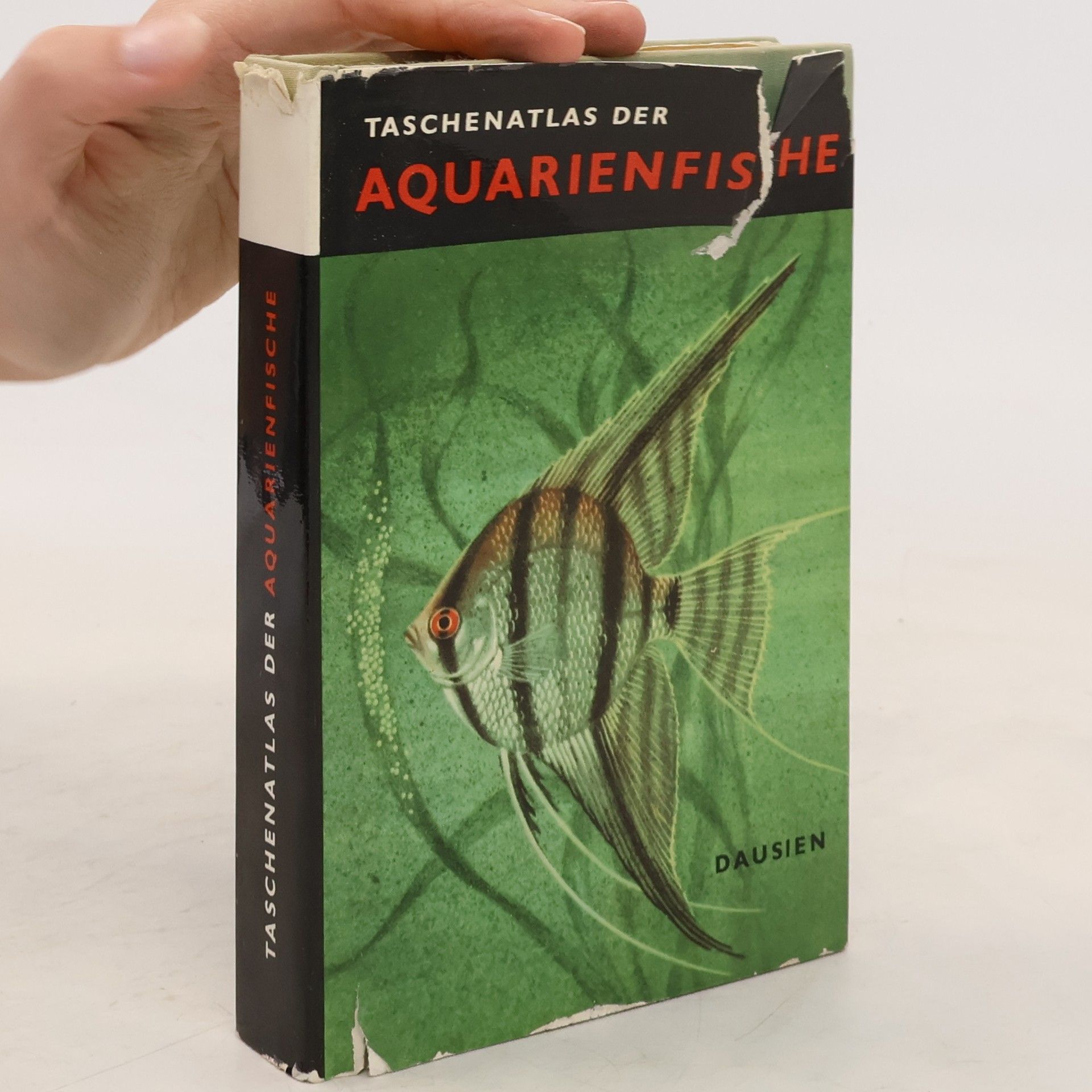 Zdeněk Vogel Aquarienfische