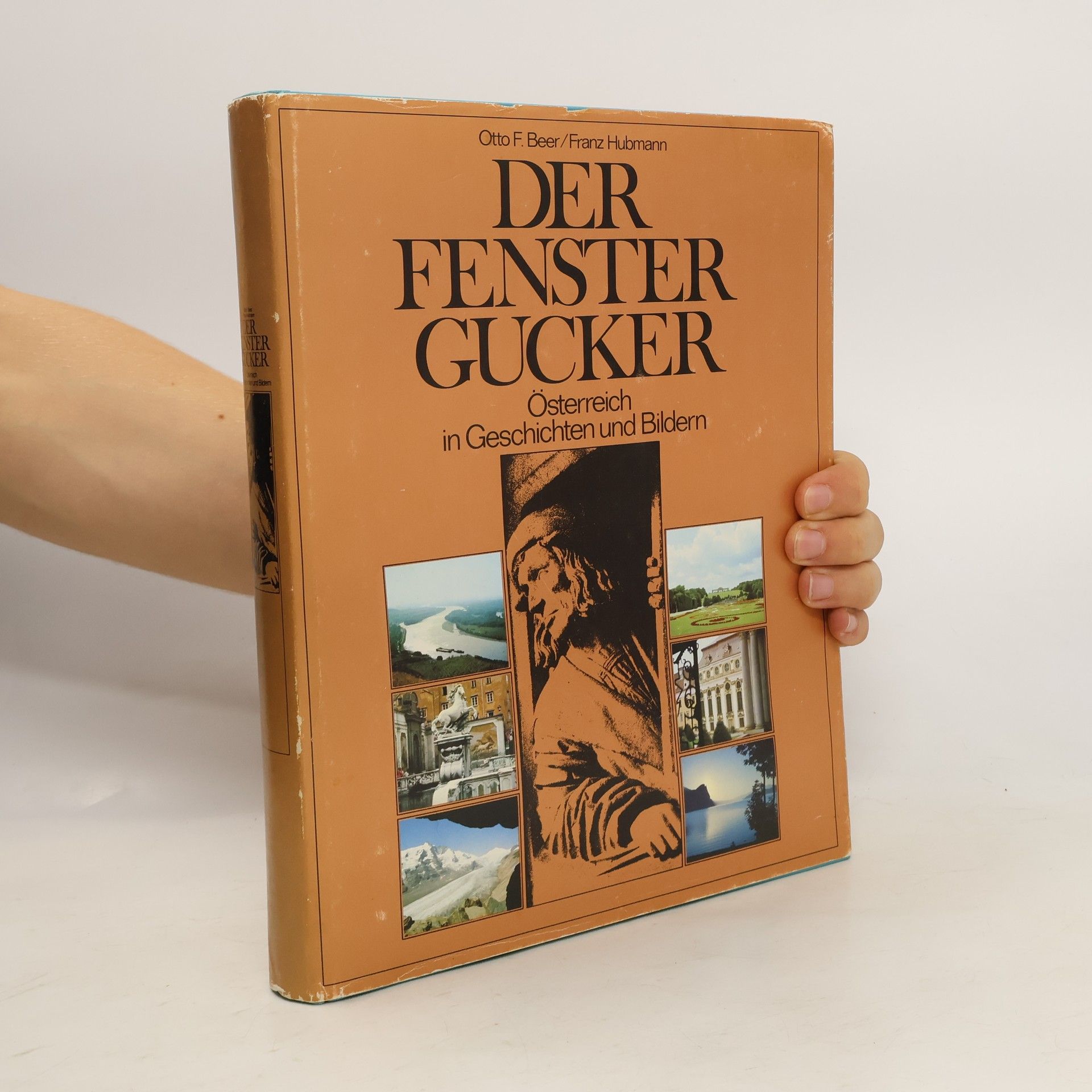 Der Fenster Gucker