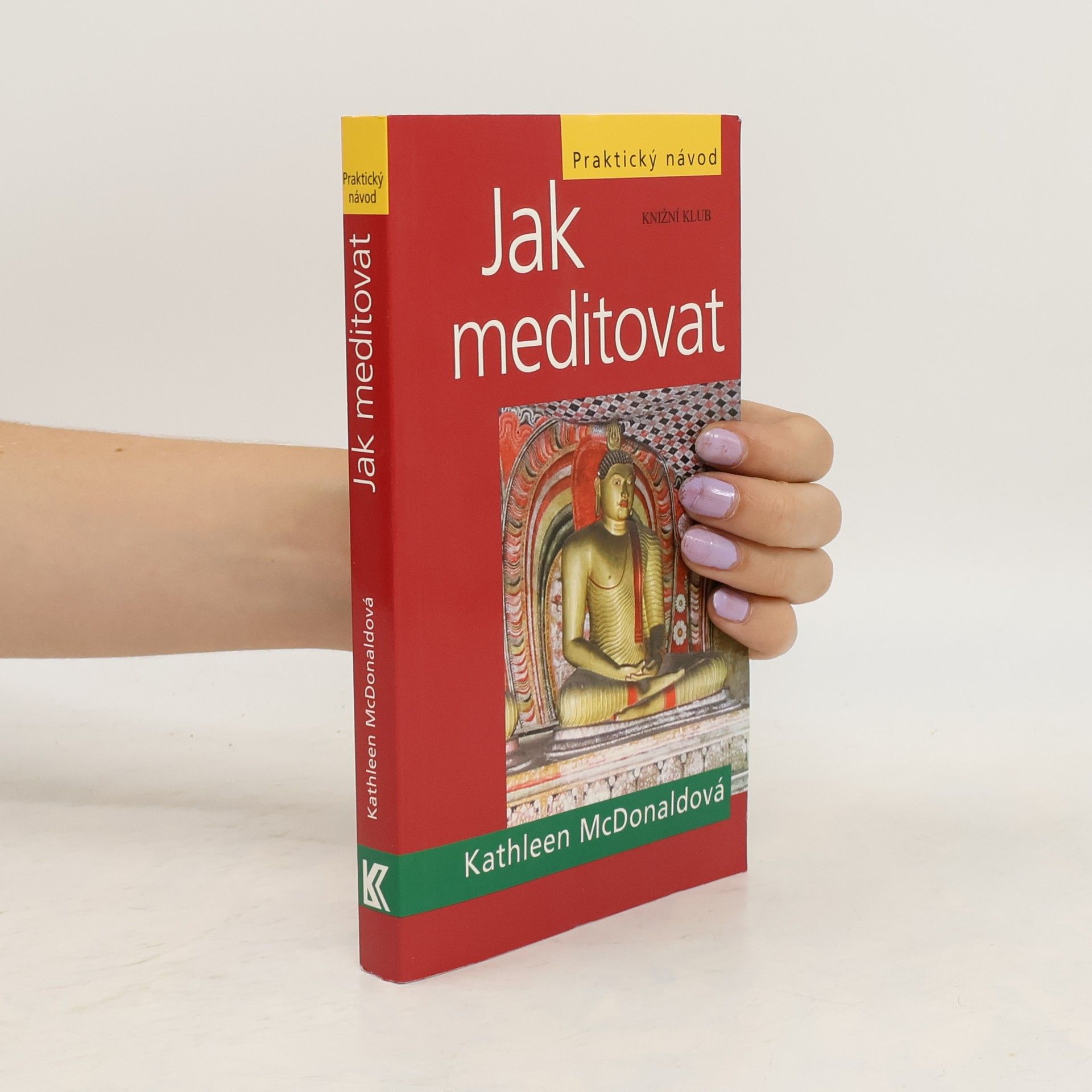 Kathleen McDonald Jak meditovat