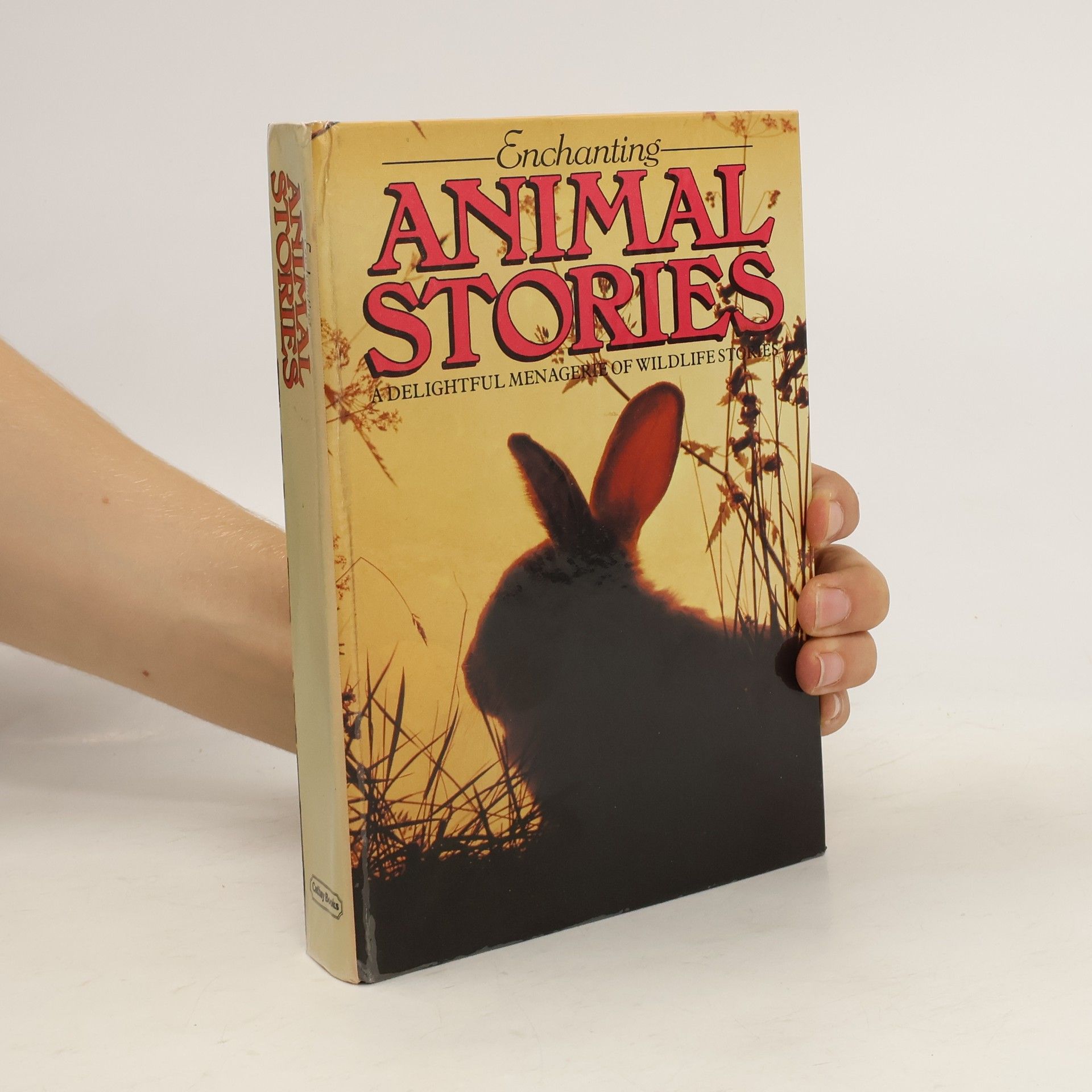 Anthea Ridett Animal stories