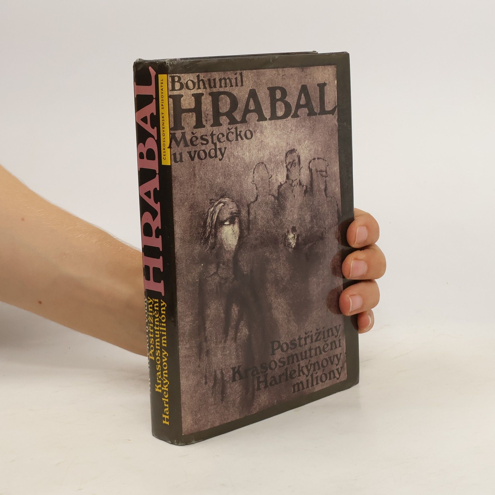 Bohumil Hrabal Městečko u vody