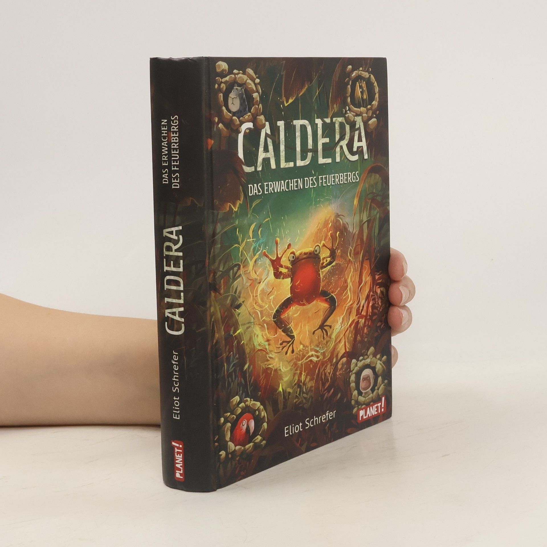 Eliot Schrefer Caldera 3. Das Erwachen des Feuerbergs