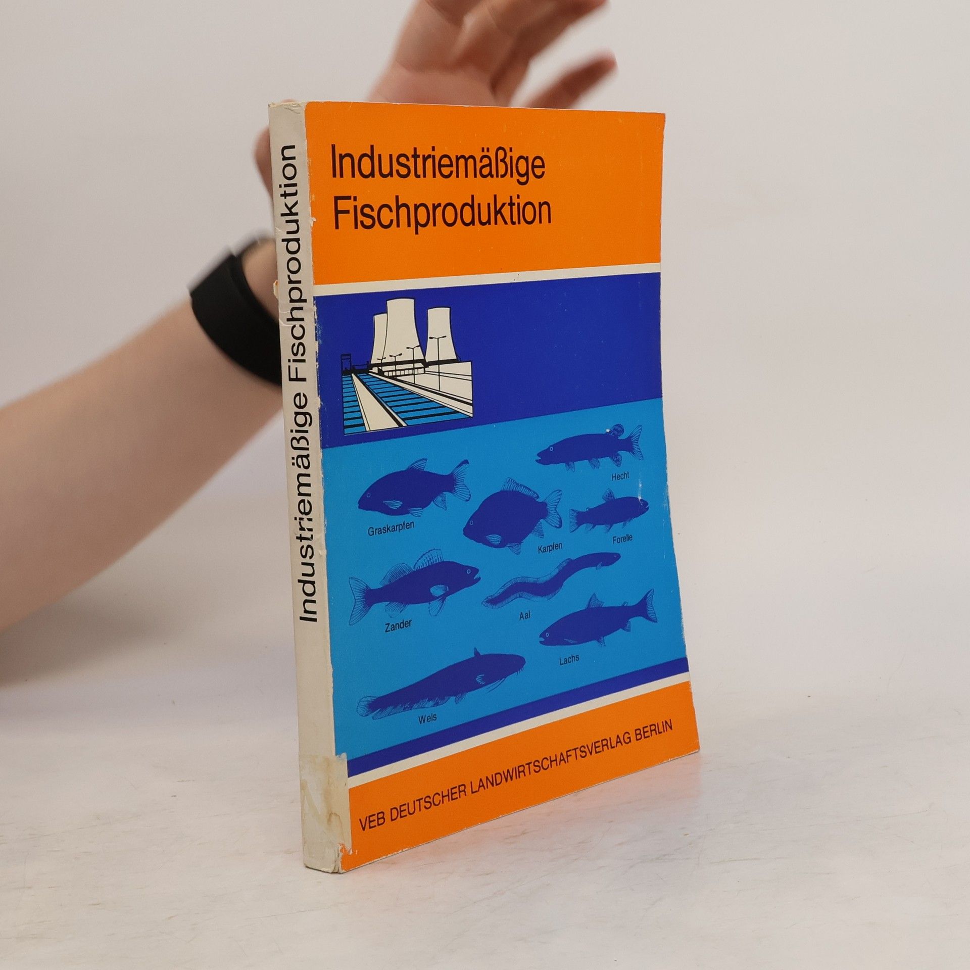 Autores varios Industriemäßige Fischproduktion