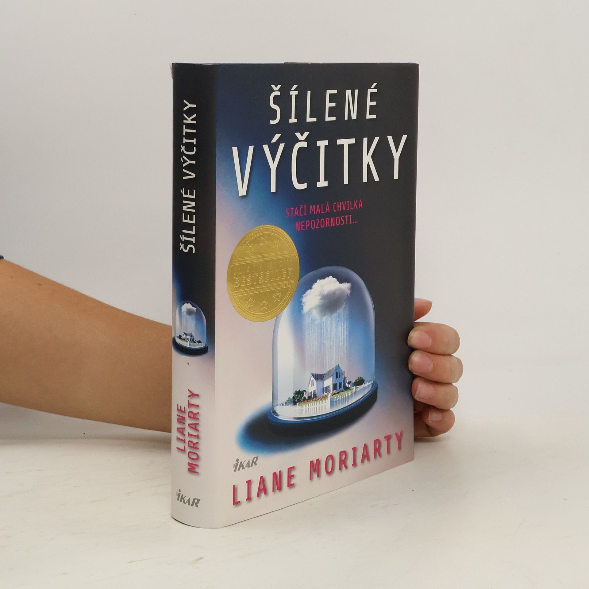 Liane Moriarty Šílené výčitky