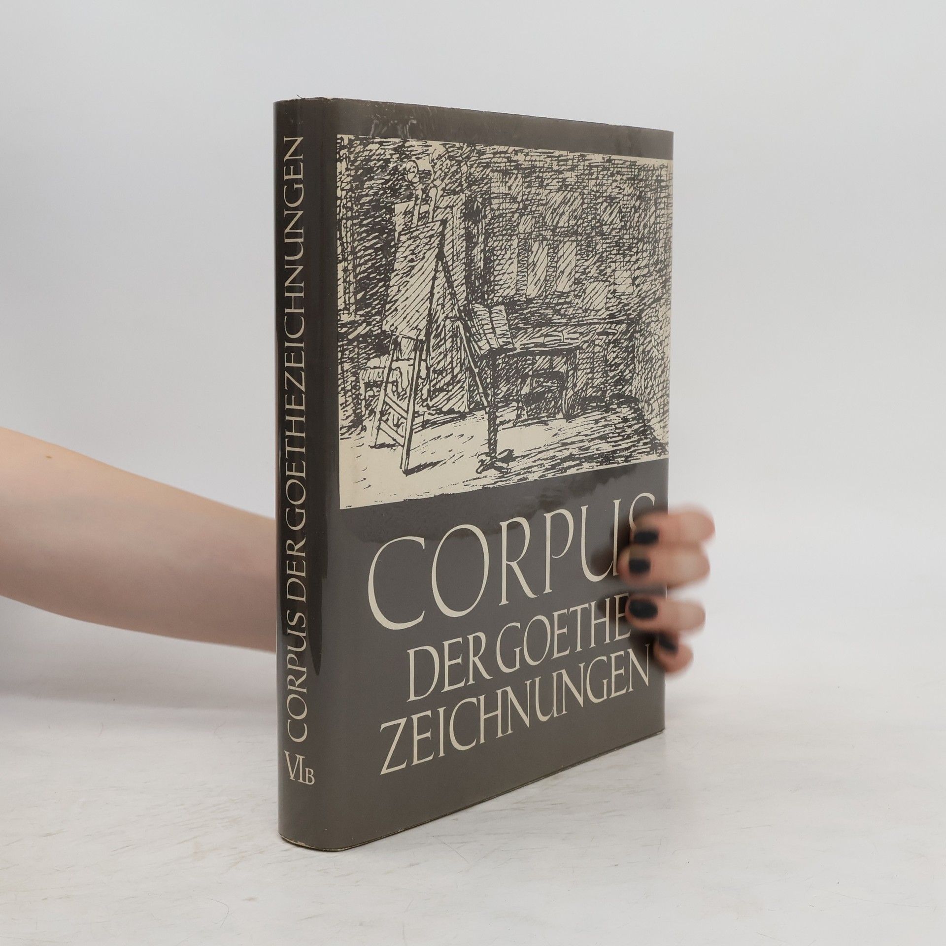 Autorenkollektiv Corpus der Goethezeichnungen VI. B